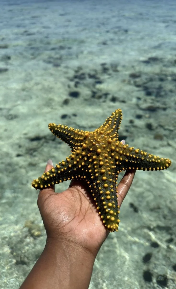 lamu 2.jpg
