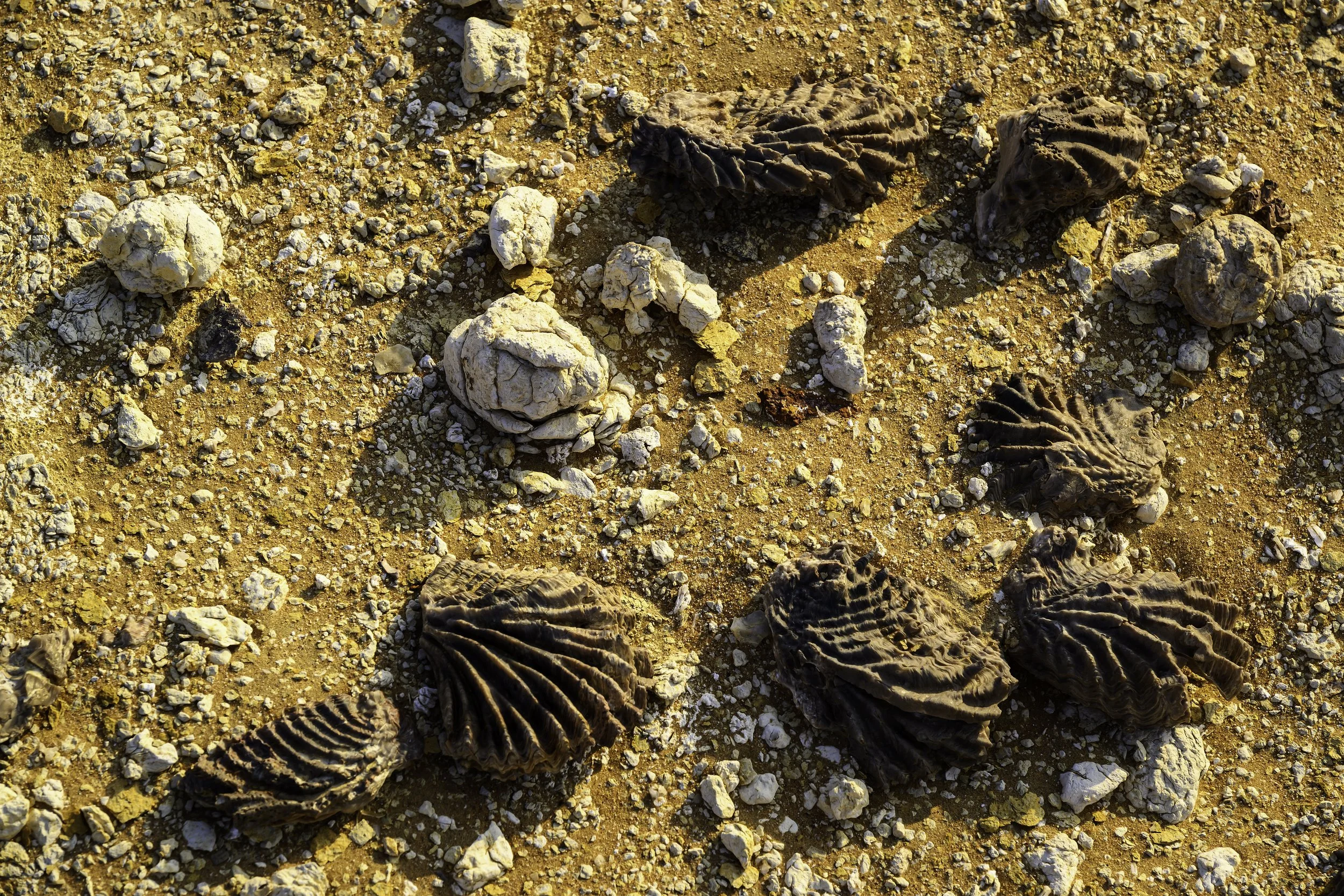 Hugf Geology