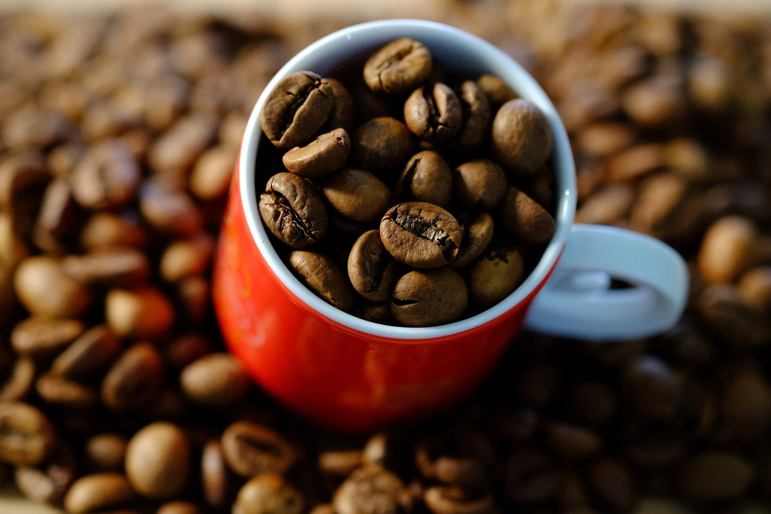 Roasted Coffee Beans