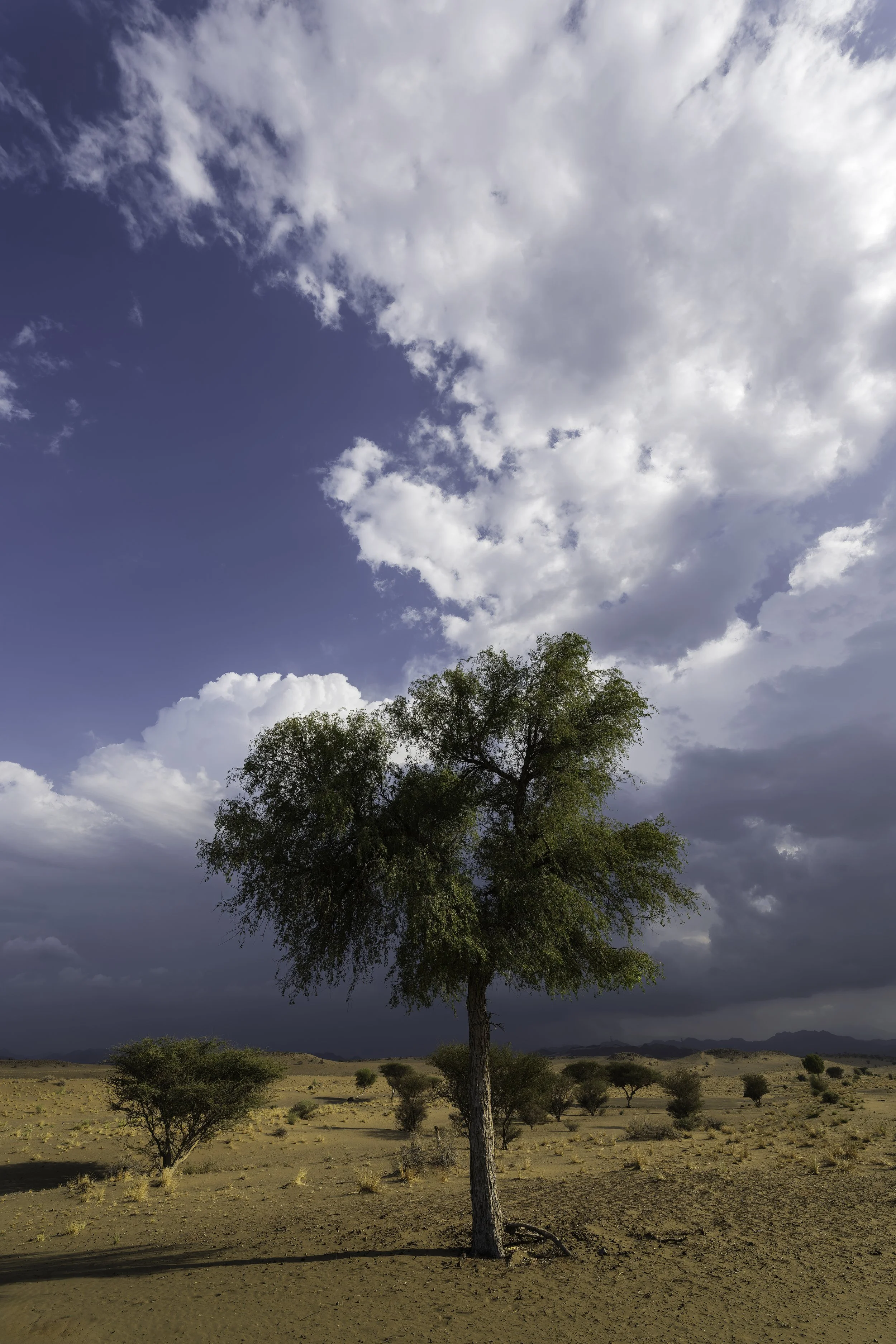 In the Storm