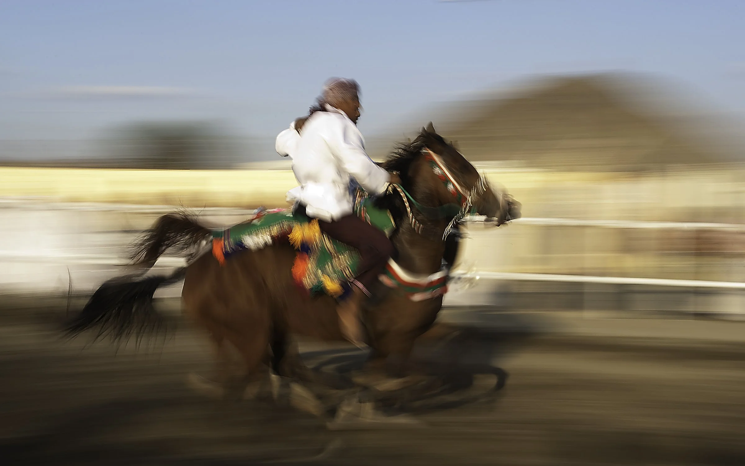 Horse run.jpg
