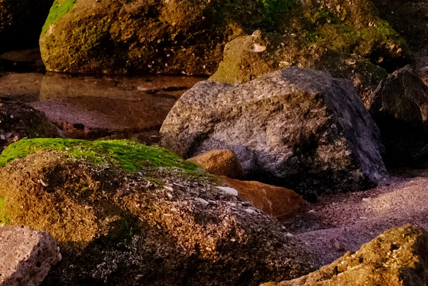 DSCF0039-RecoveredCropped.jpg