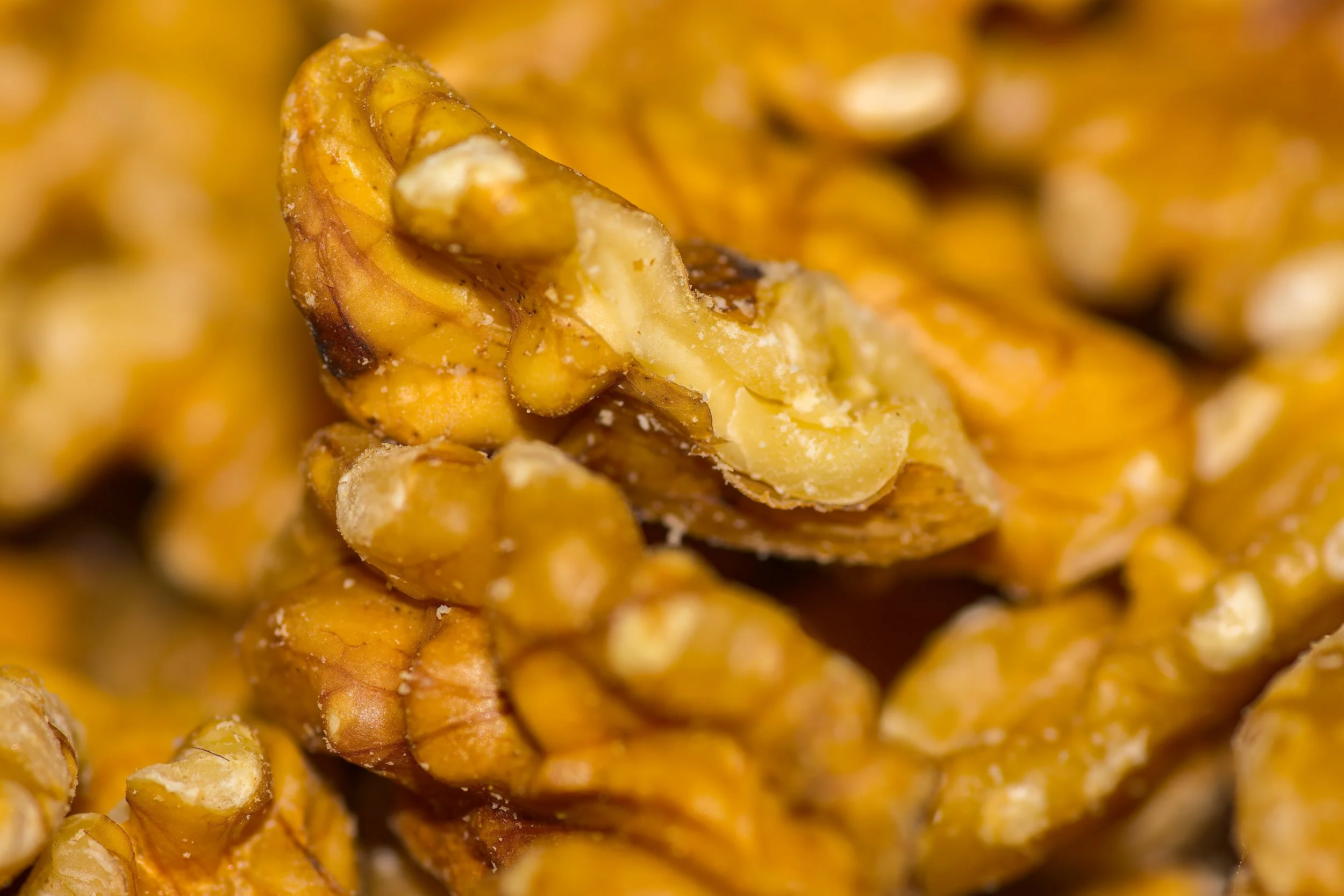 Wallnut.jpg