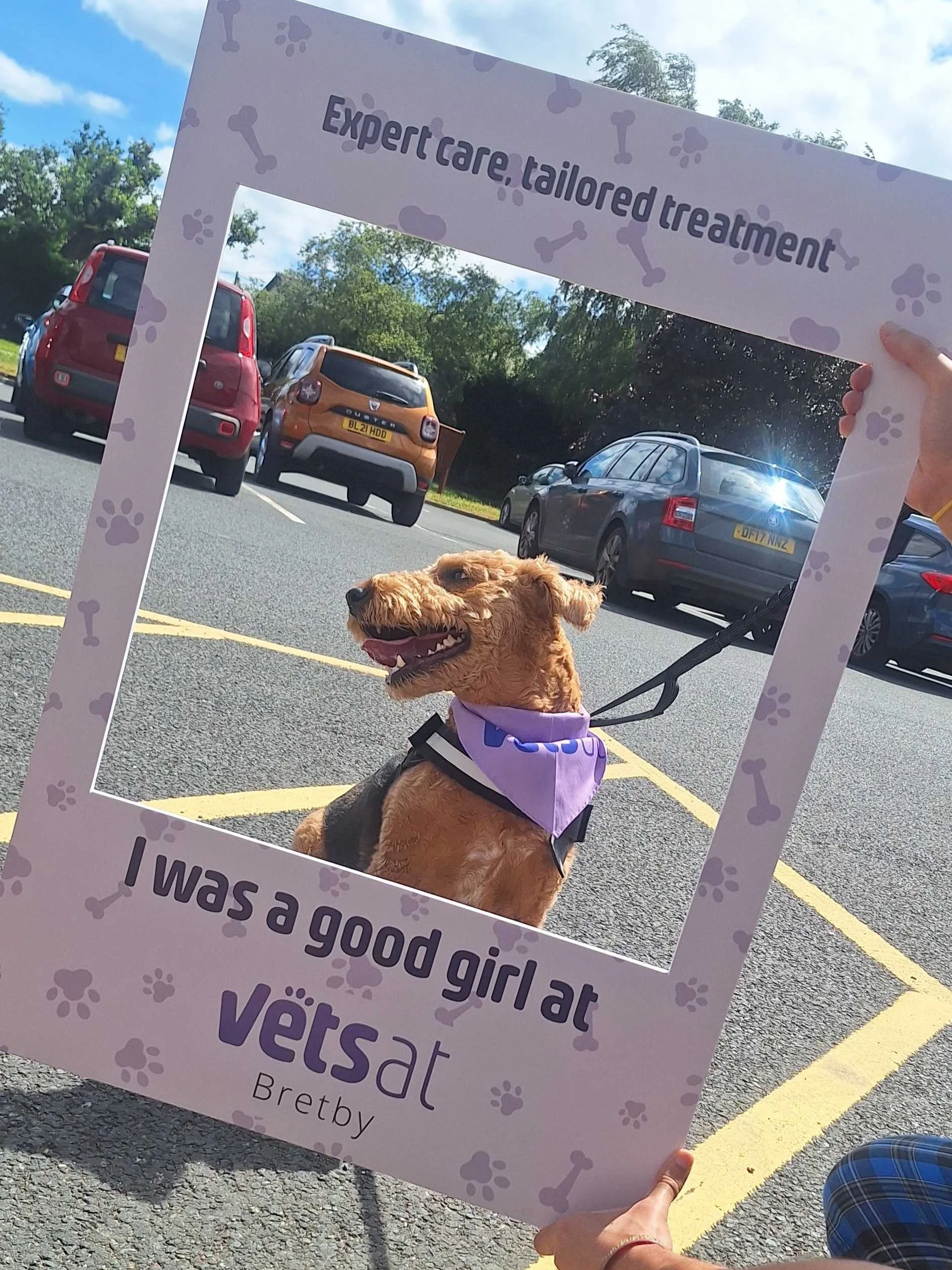 A day at the vets! Last week the team took a trip to see @vetsatbretby host their open day! 🐶 Thank you so much for having us there!💜 

Keep an eye out for some extra interview content coming your way!

#burtonradio #burtonupontrent #vetsatbretby #