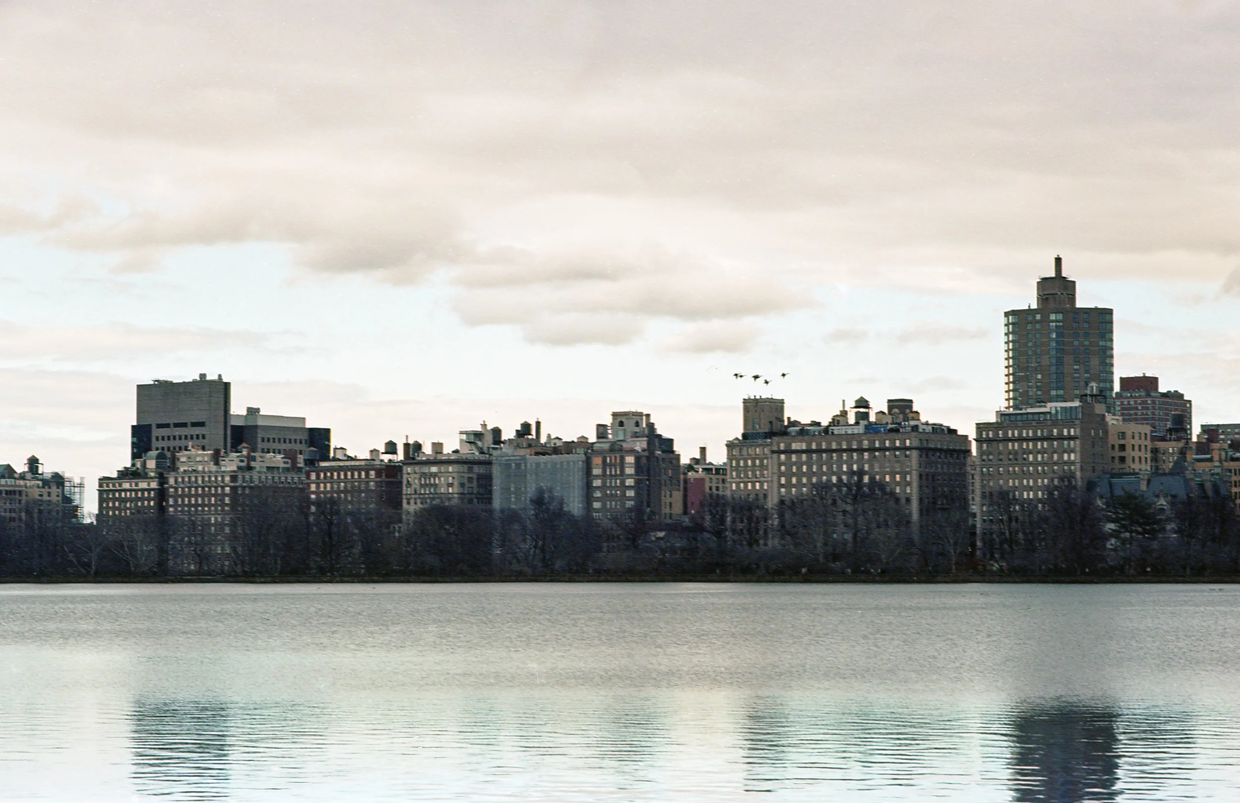 Ektar 100_NYC_March 2024-54.jpg