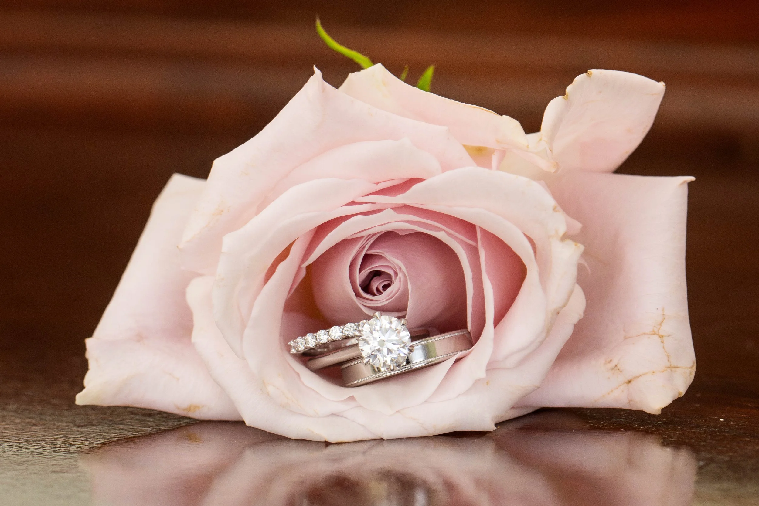 Duke Chapel Wedding_Winter Wedding at Aria Event Center_Raleigh Wedding Photographer-6.jpg