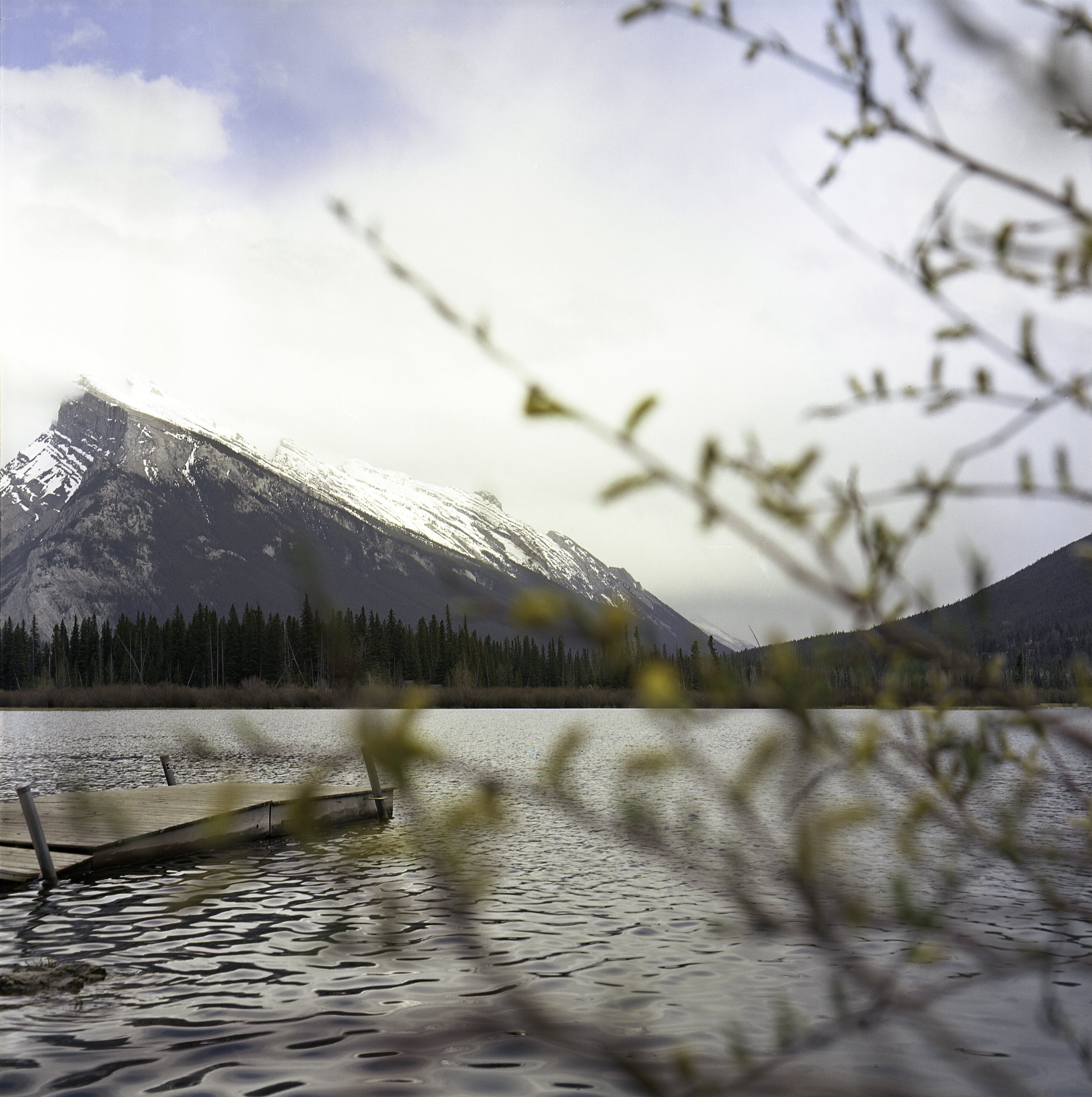 Banff_Ektar 100_May 16, 2024-5.jpg