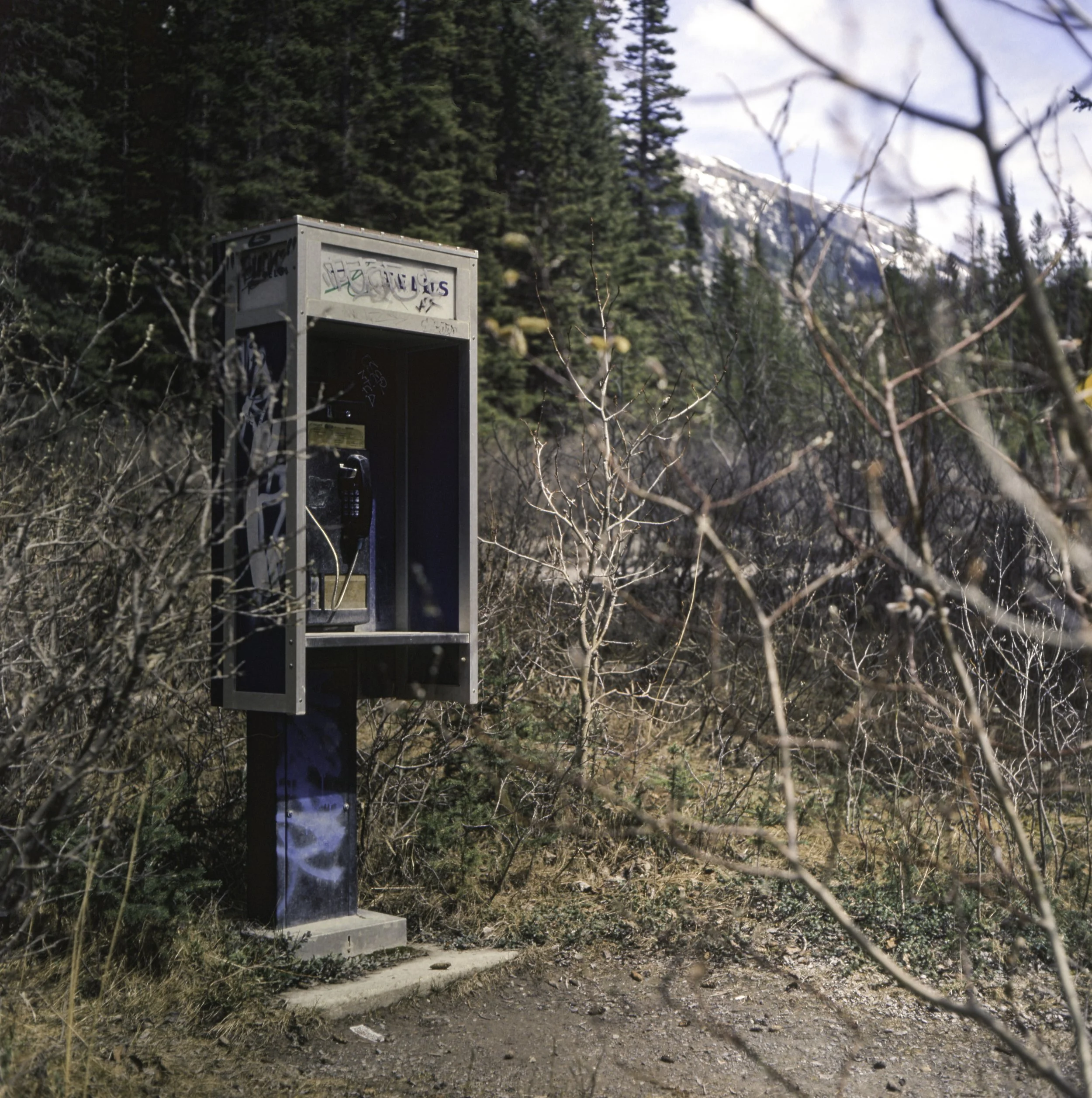 Ektachrome 120mm_Banff_May 19, 2024-7.jpg