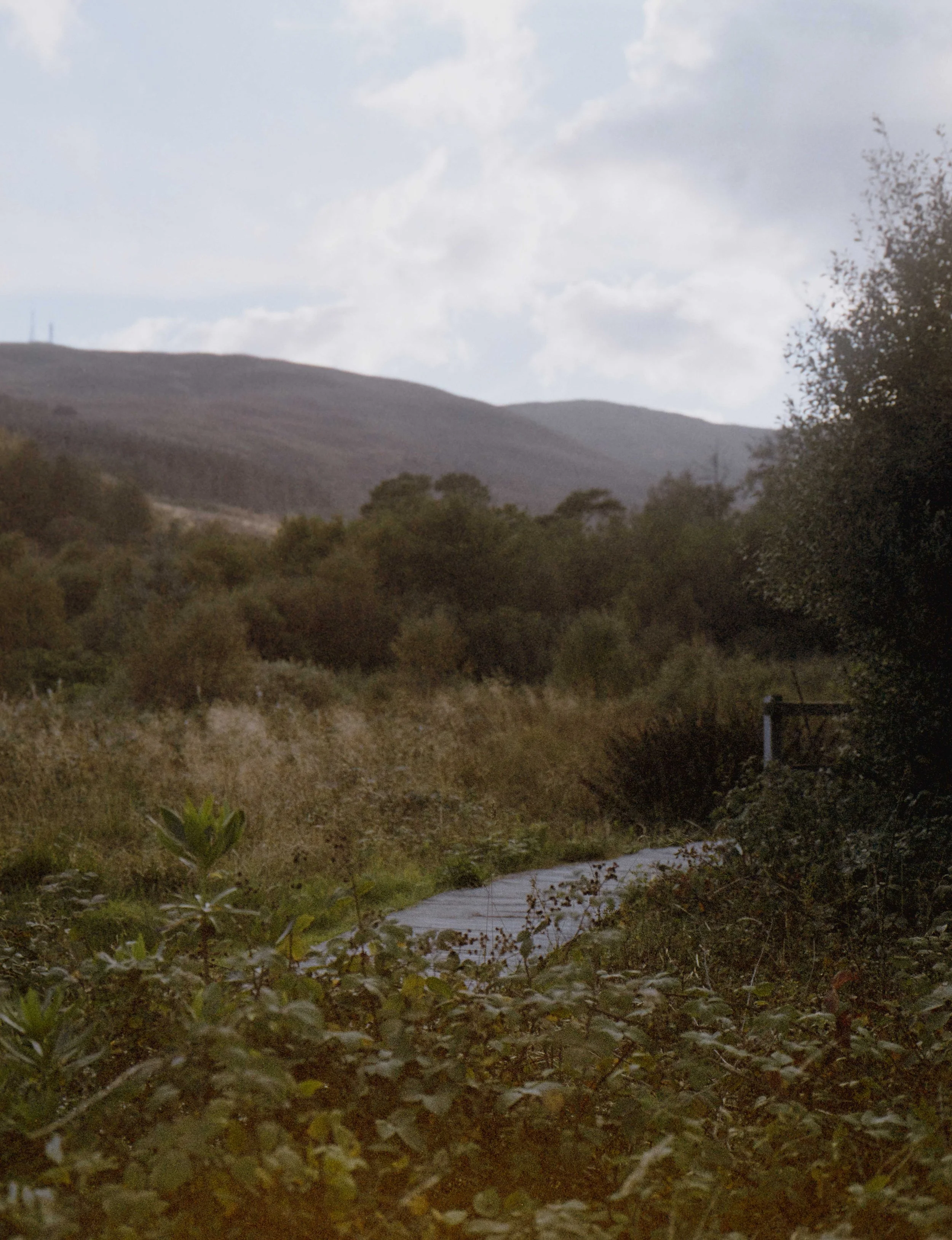 Landscape prints for sale_Landscape travel photos for interior design_timeless landscape photos for commercial design photography-23.jpg