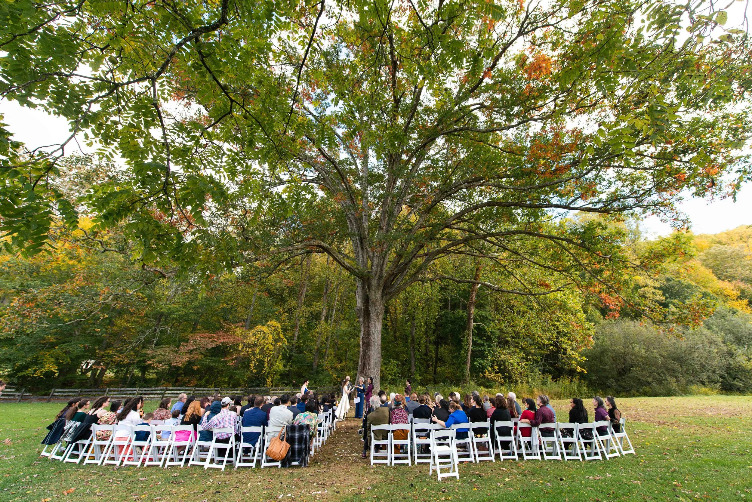 New York wedding photographer_fall weddings in upstate new york_Catskills barn wedding-75.jpg