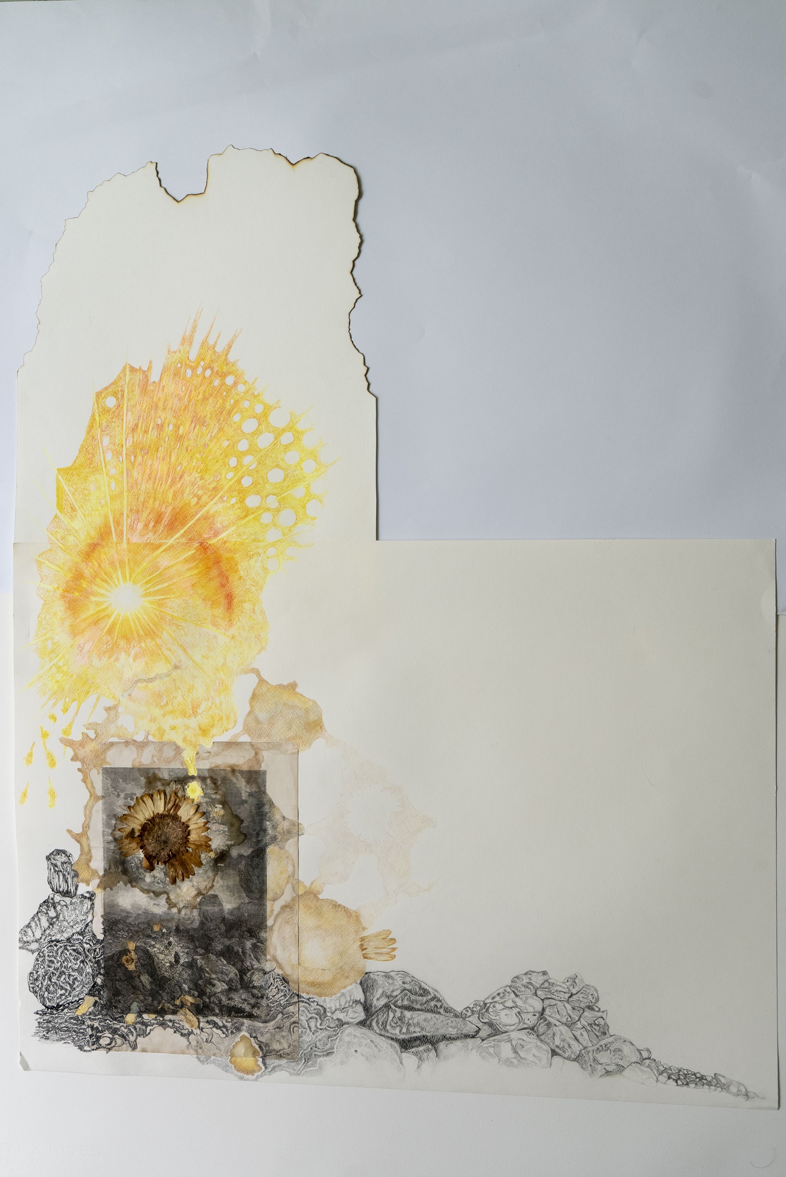 Le soleil crie - série Échos de mémoire -
70 x 85 cm - 2025