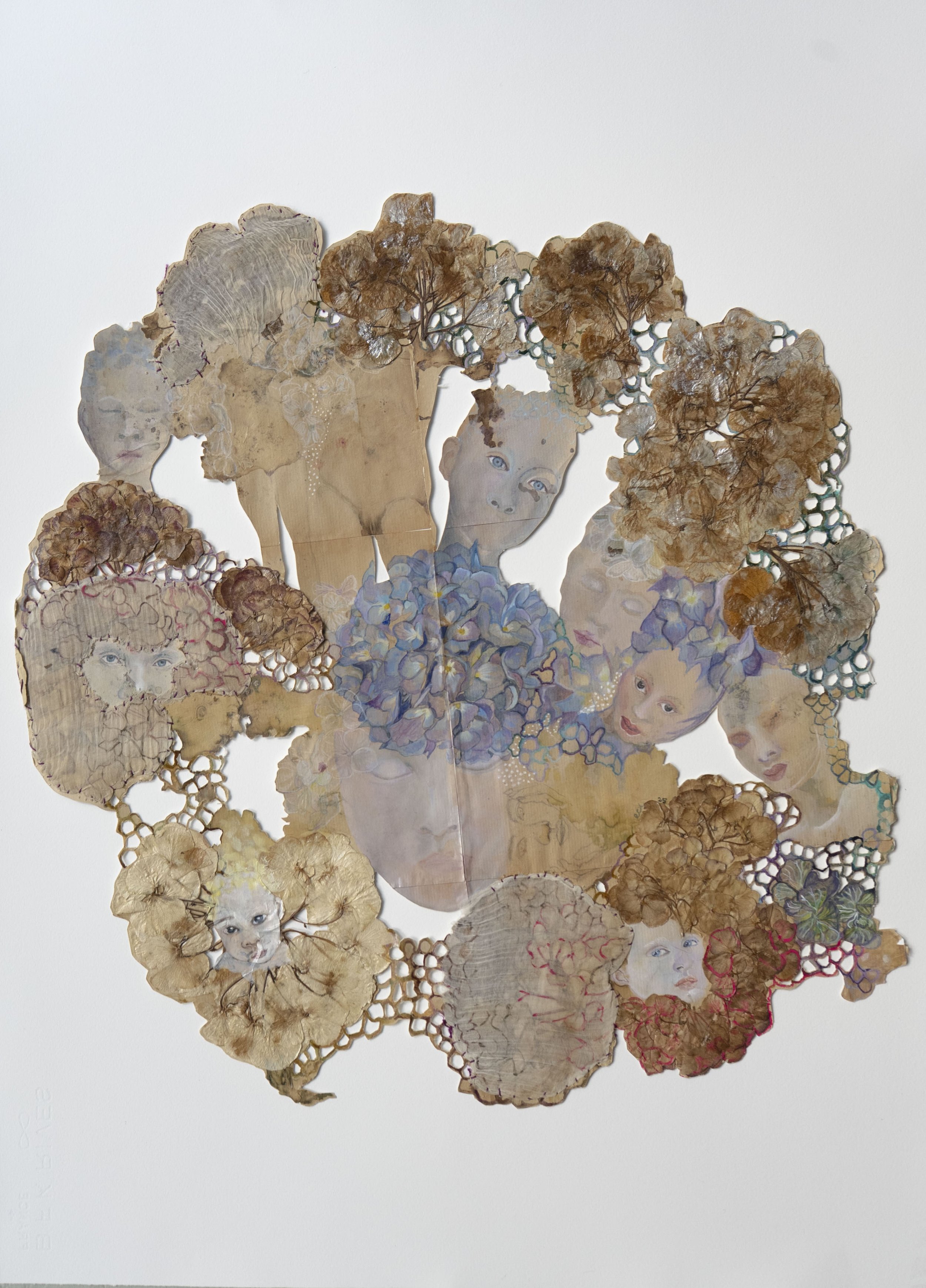 Les Hortenses - série Greffes 7 - 51 x 56 cm - 2024