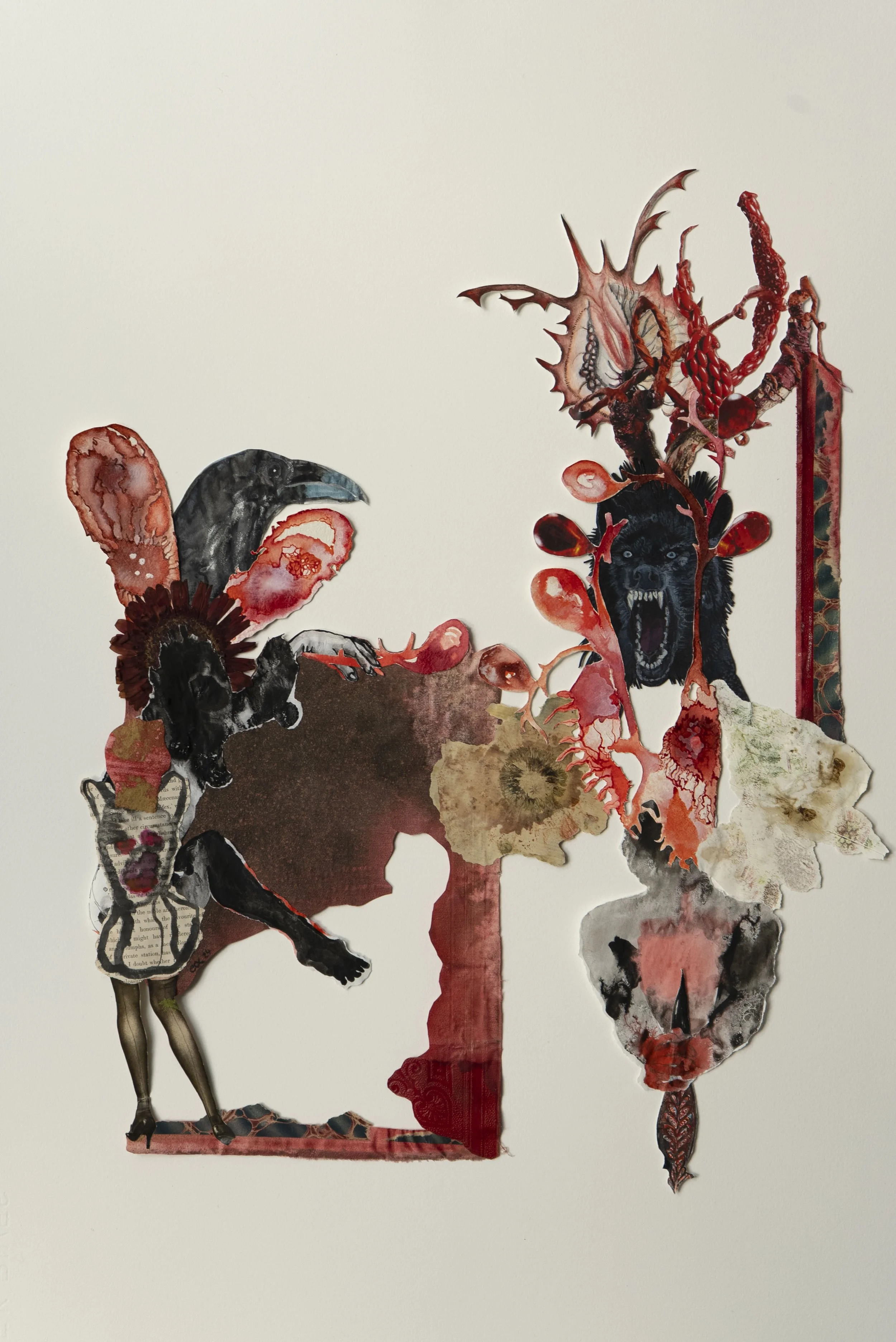 Métamorphose de la louve - série Greffes 9 - 41 x 54 cm - 2024