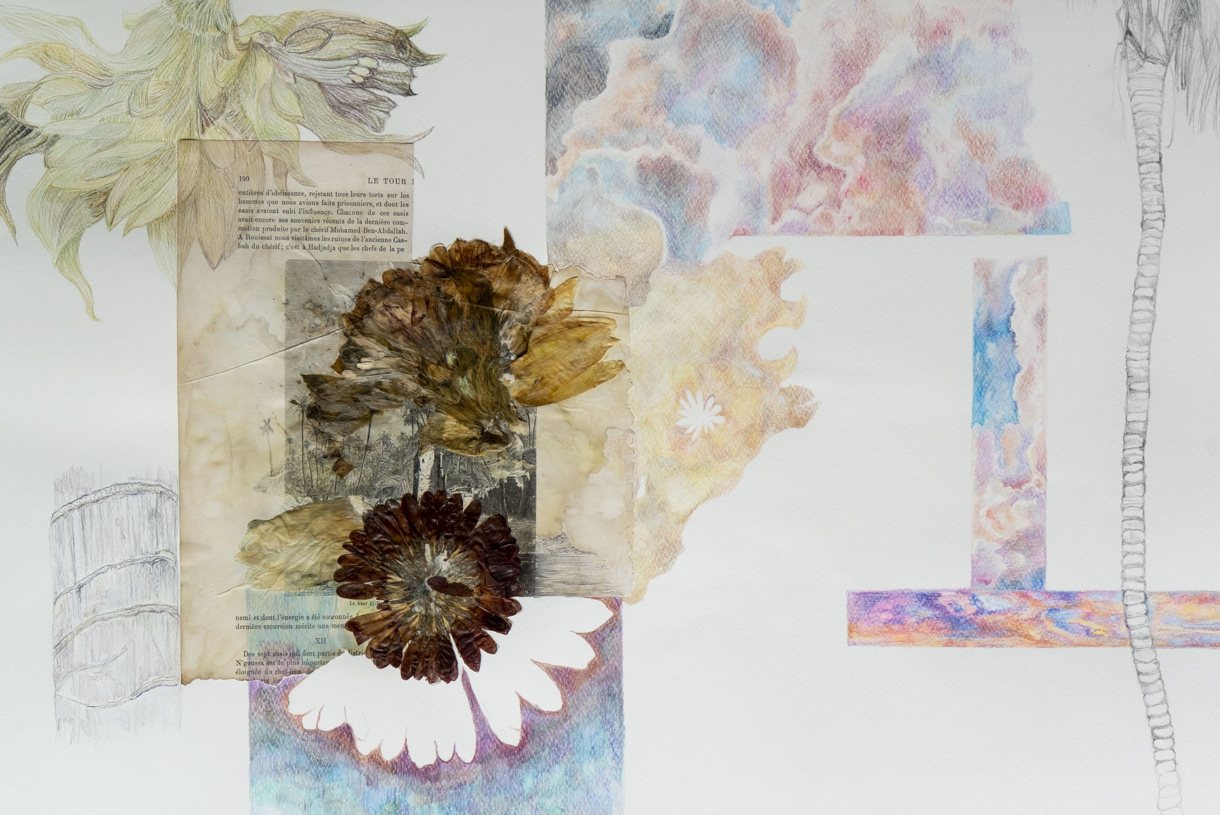 Illusion climatique-détail2.jpg