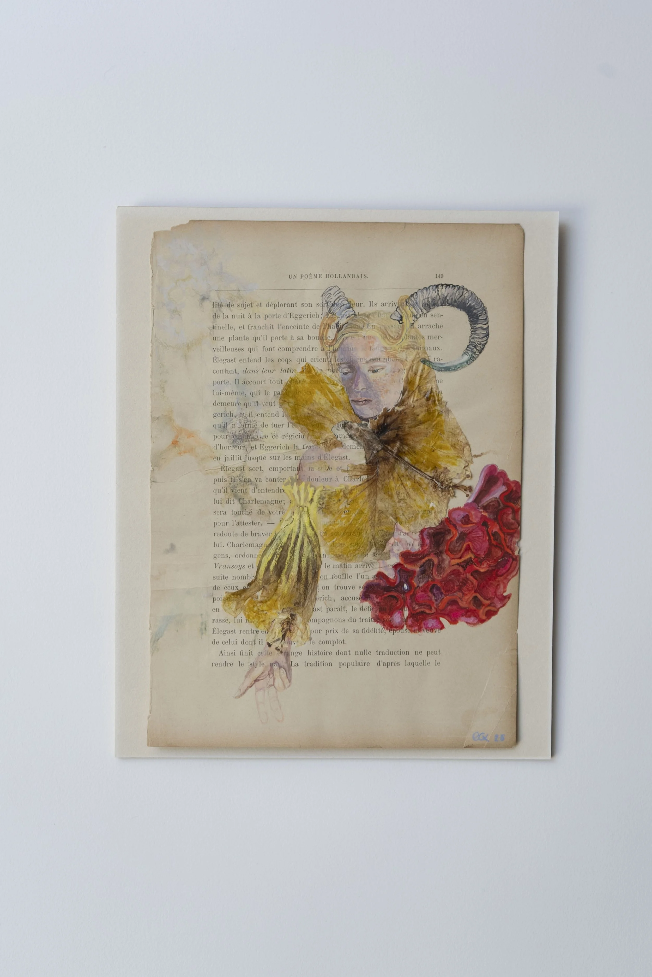 Organic Organza - 20,2 x 28 cm - 2025