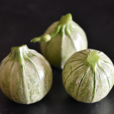 Calabacita Squash Plant - Pre-Order