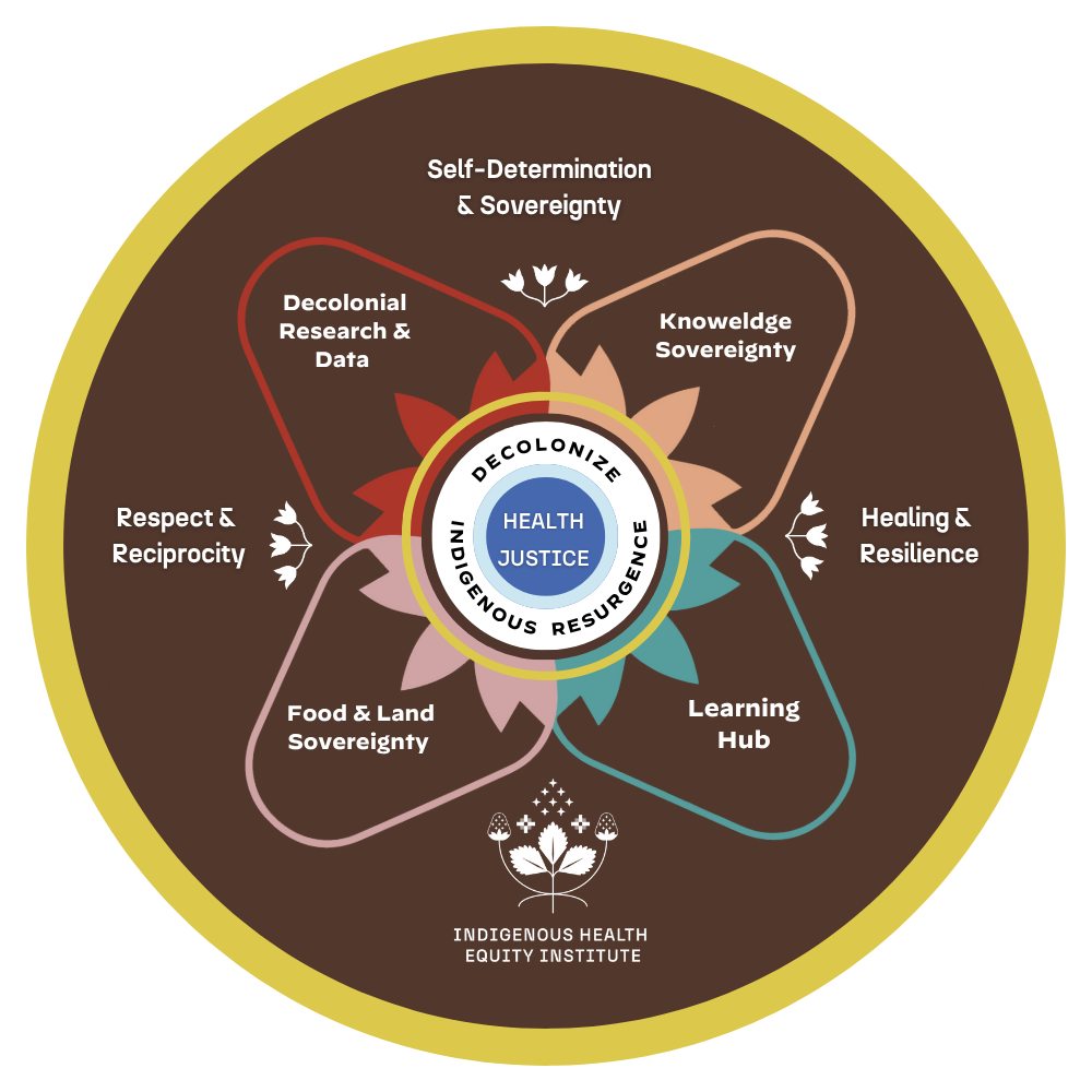 Indigenous Health Equity Institute