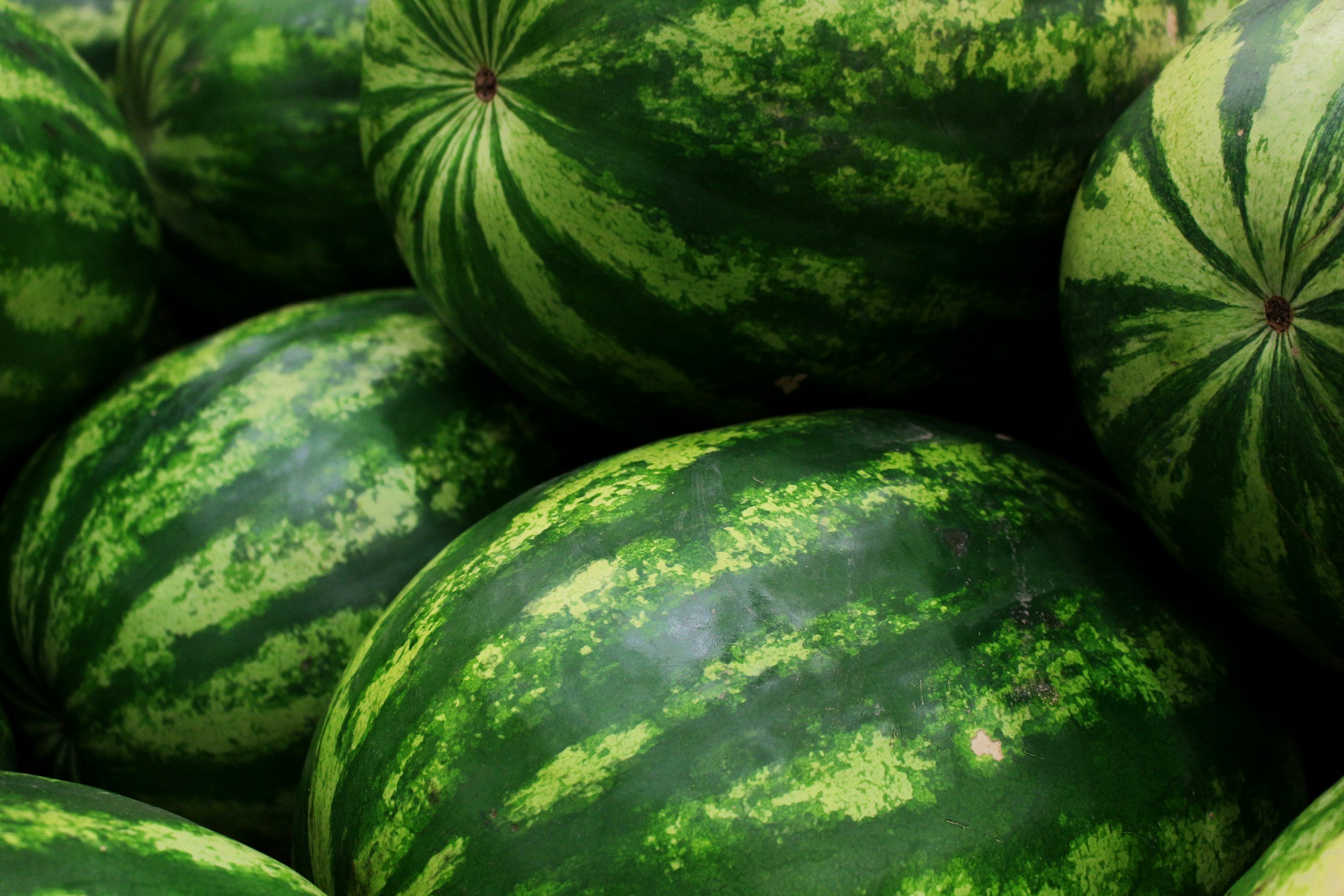 WATERMELON *ANTIOXIDANT *
*SKIN HYDRATION*