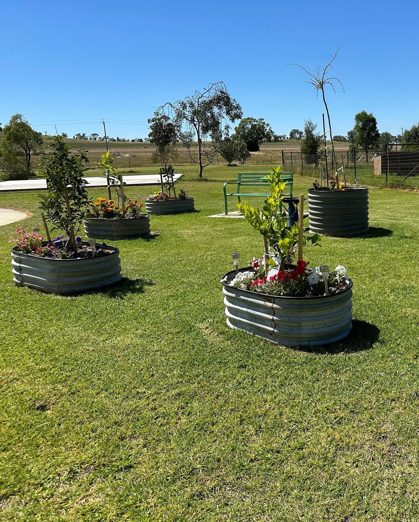 A grassy backyard with potted plants, flowers, and trees, under a clear blue sky, with a green bench in the middle and a few leafless trees in the background.