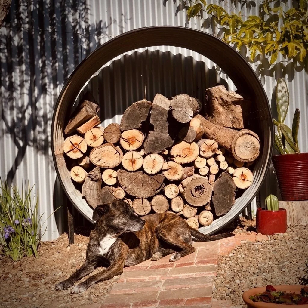 A dog laying on brick pavers in front of a pile of chopped firewood in a metal circular rack. There are potted plants and gravel ground surrounding the scene.