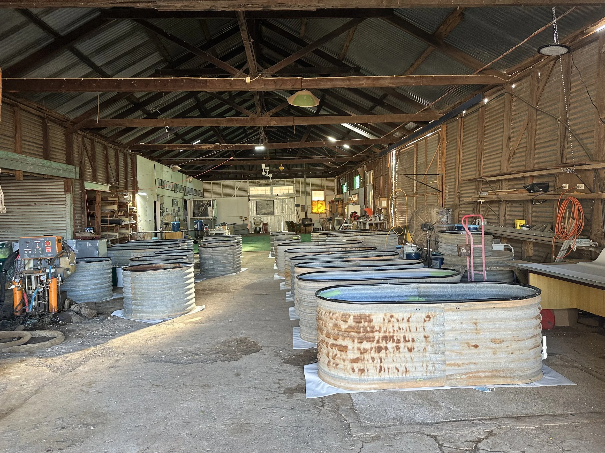 IMG_7784 2.jpeg