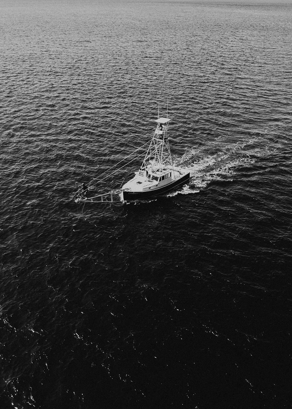 DJI_0228.jpg