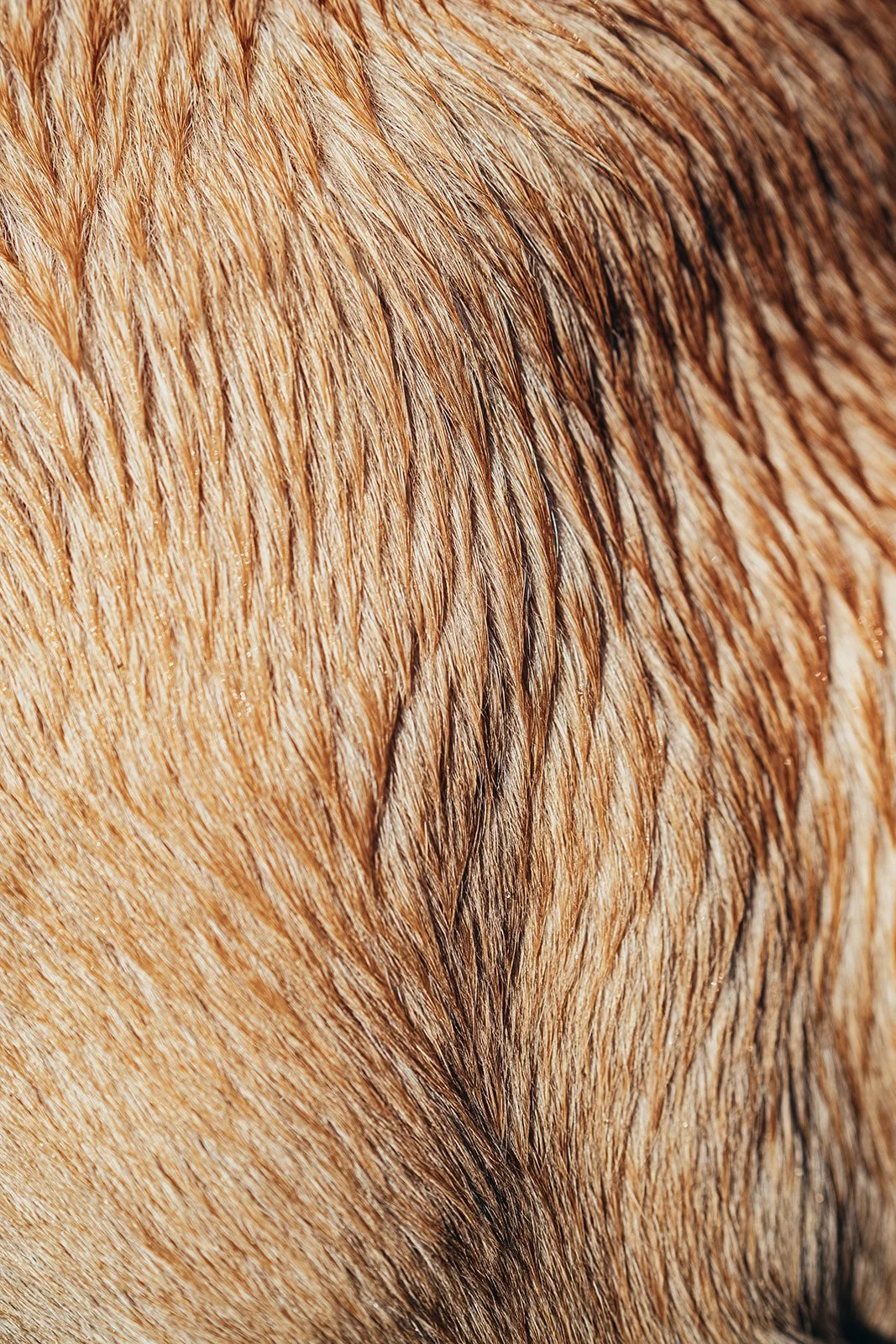 hd-03703.jpg