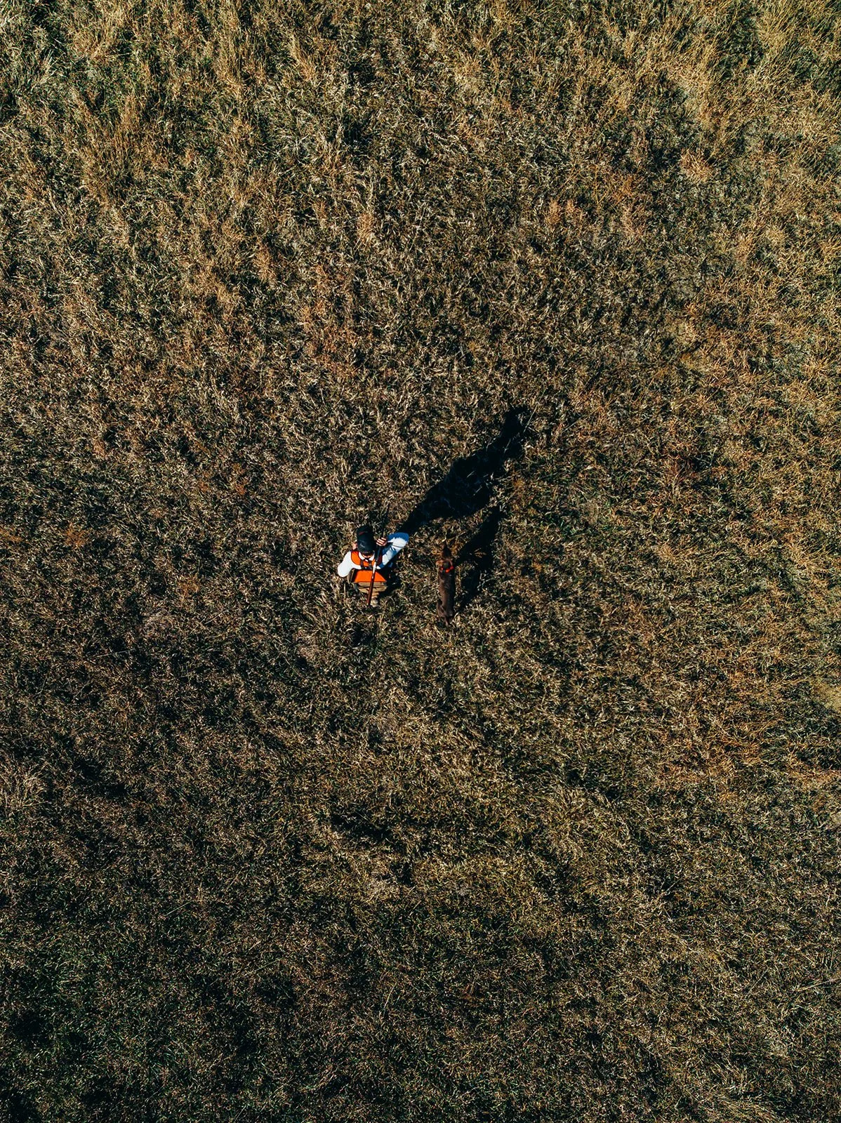 HD-0517.jpg
