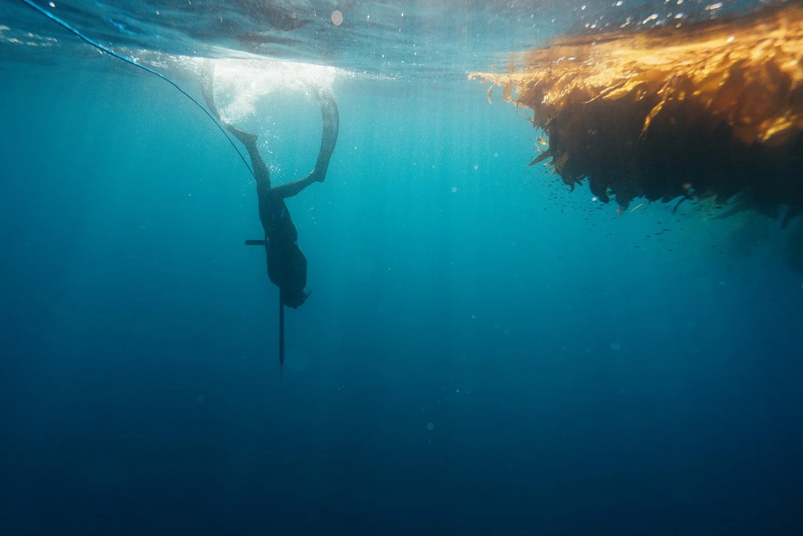 HD Ryan Griffin-01441.jpg