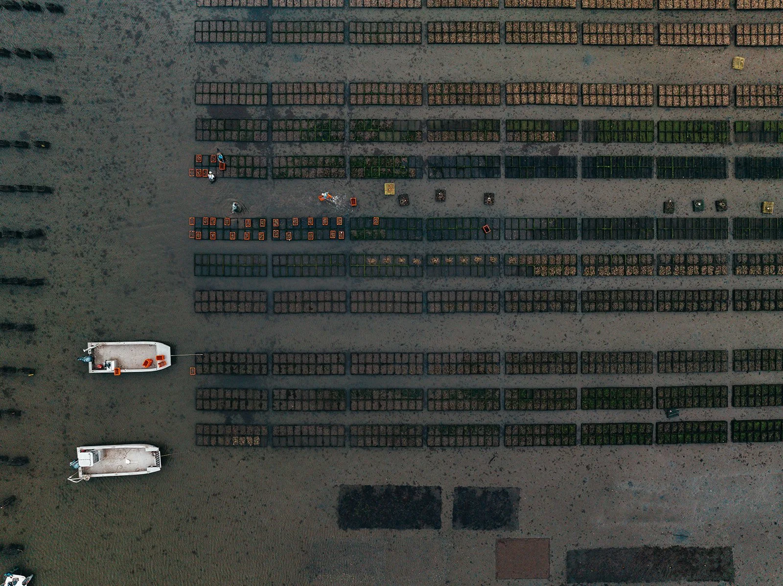 DJI_0202.jpg