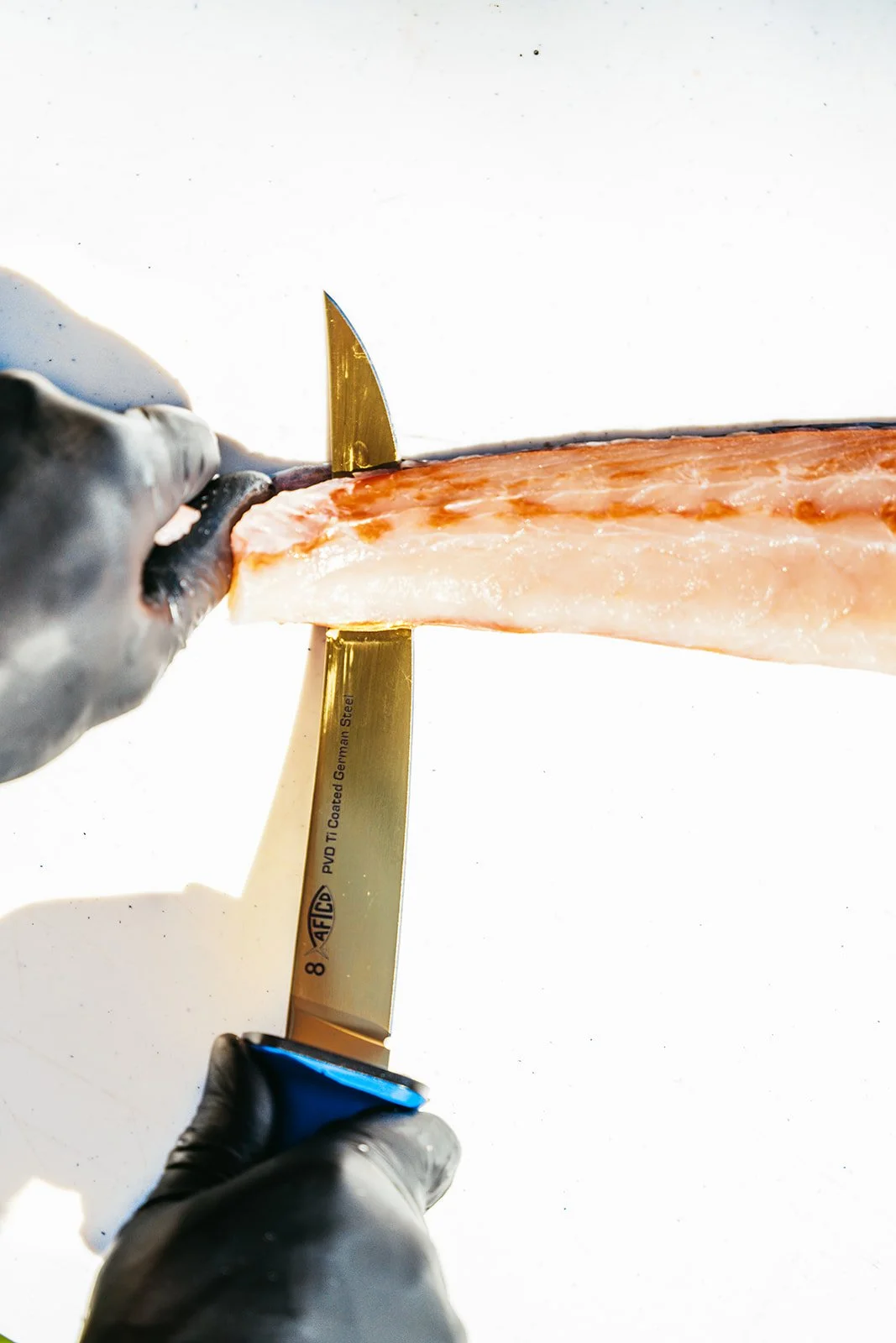 HD Ryan Griffin-03265.jpg