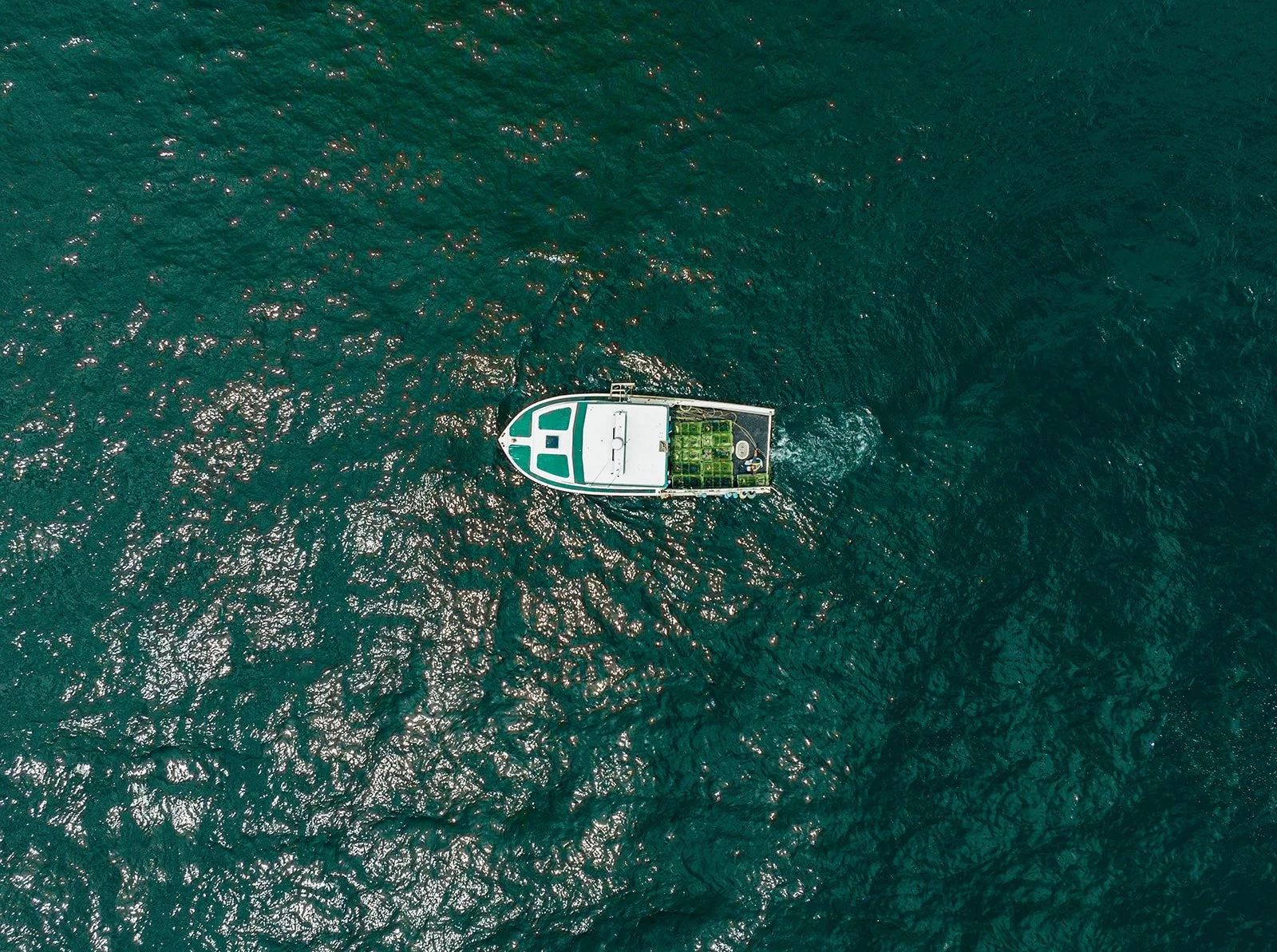 DJI_0190.jpg