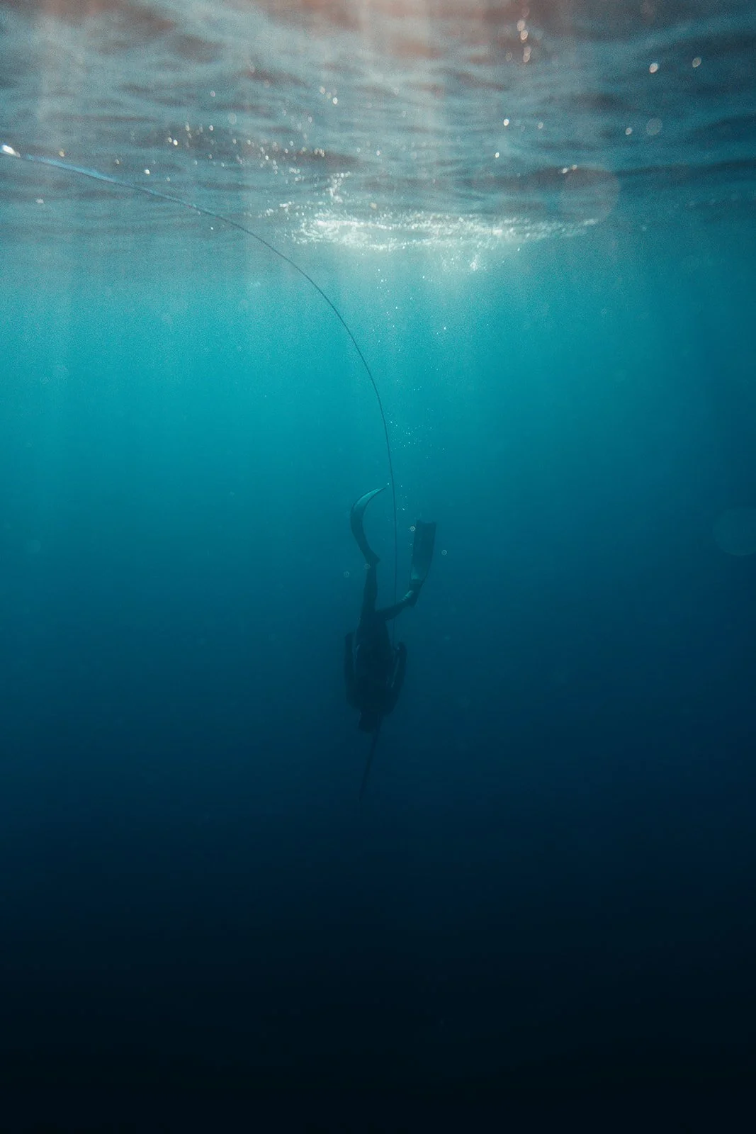 HD Ryan Griffin-01740.jpg