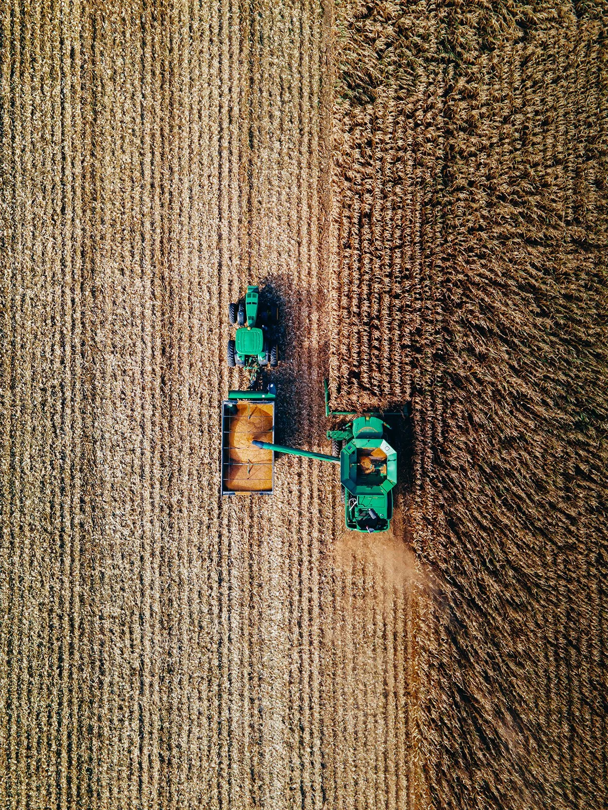 DJI_0076.jpg