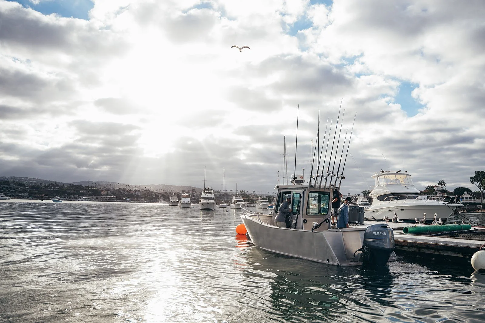 HD Ryan Griffin-04518.jpg