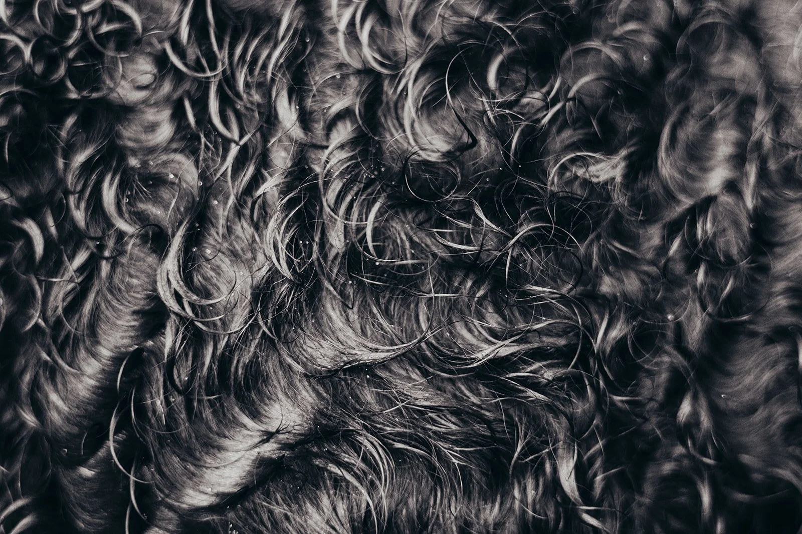 hd-09919.jpg