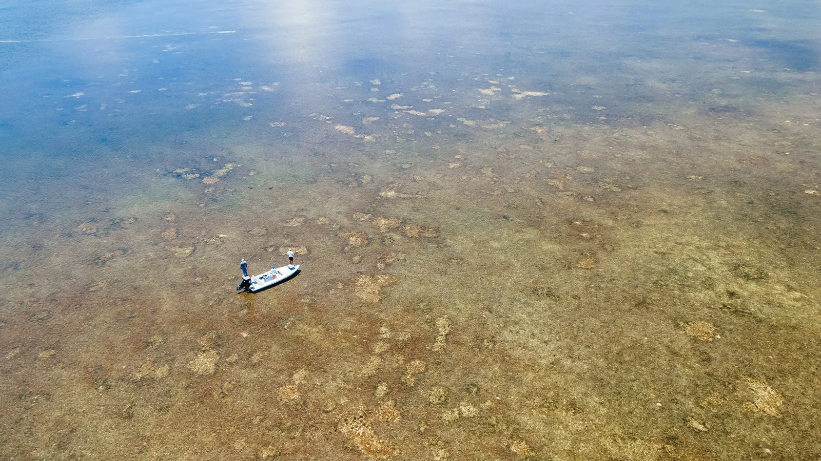 DJI_0064.jpg