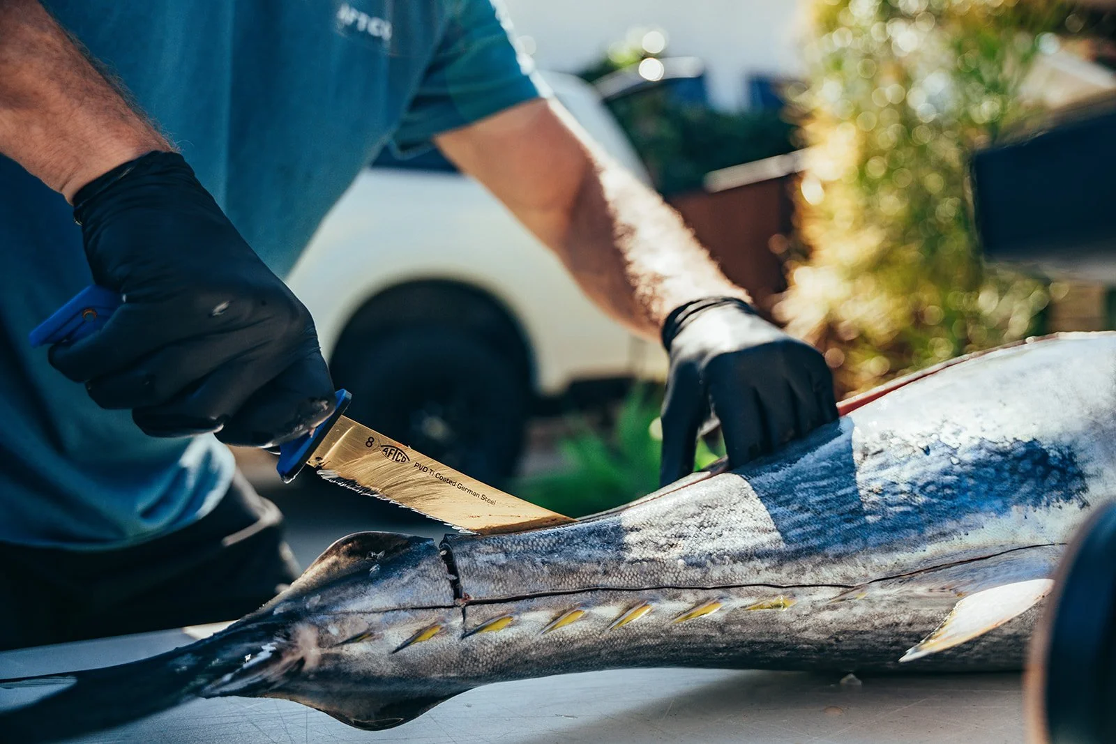 HD Ryan Griffin-05366.jpg