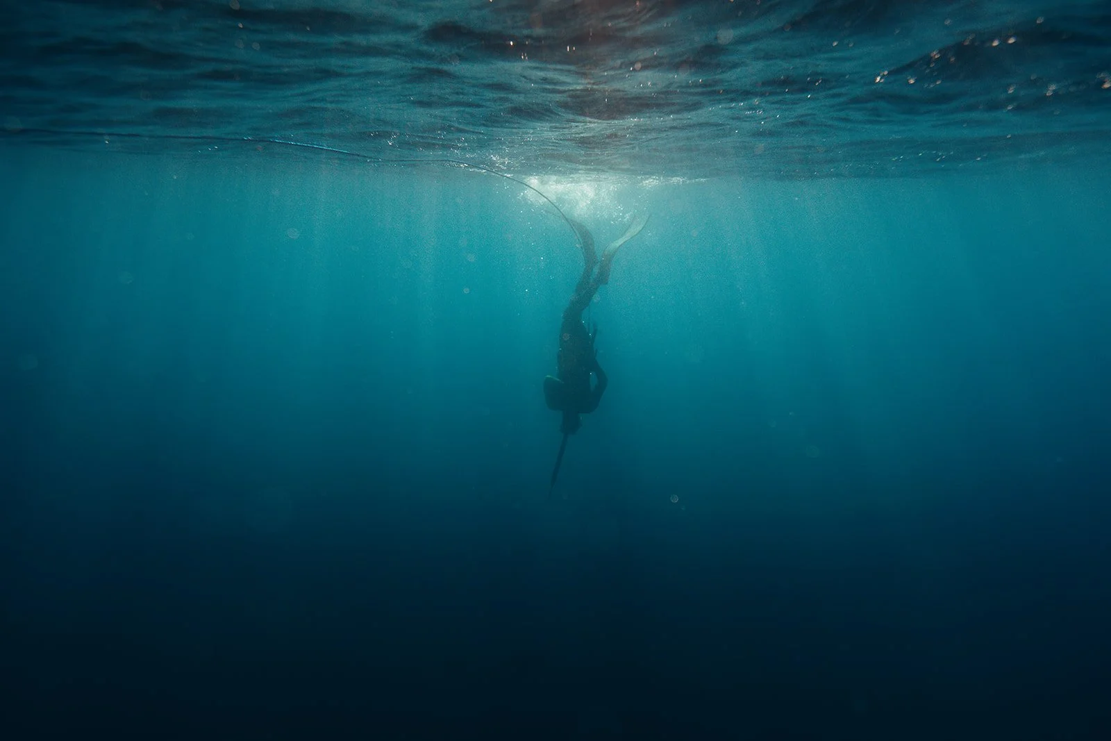 HD Ryan Griffin-01734.jpg