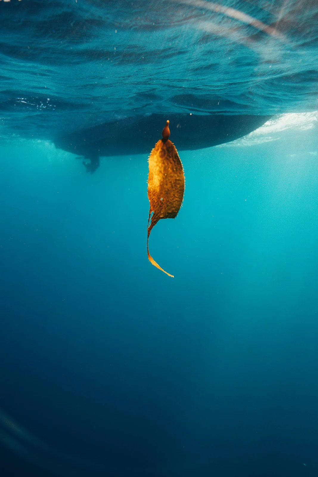 HD Ryan Griffin-01810.jpg