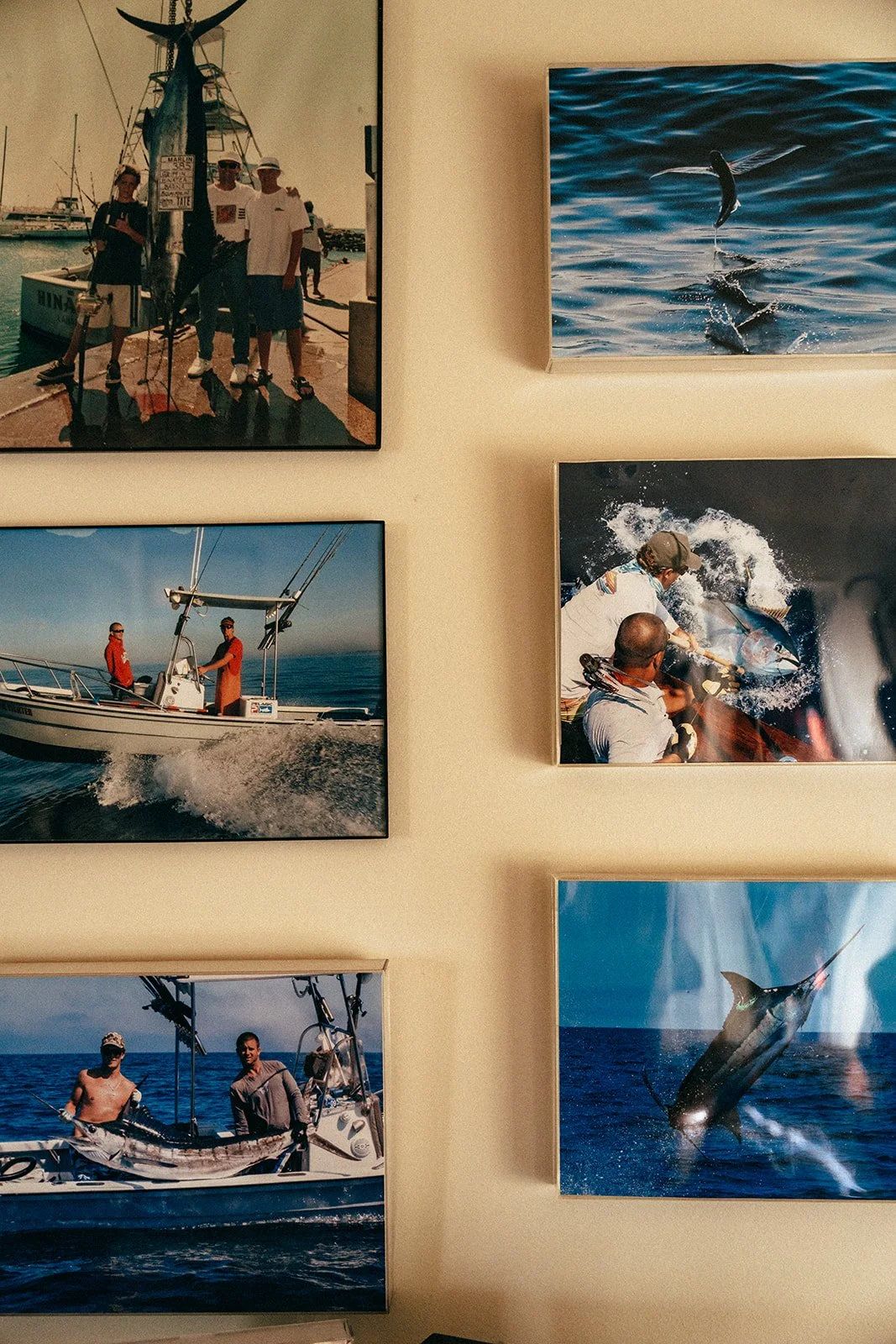 HD Ryan Griffin-04288.jpg