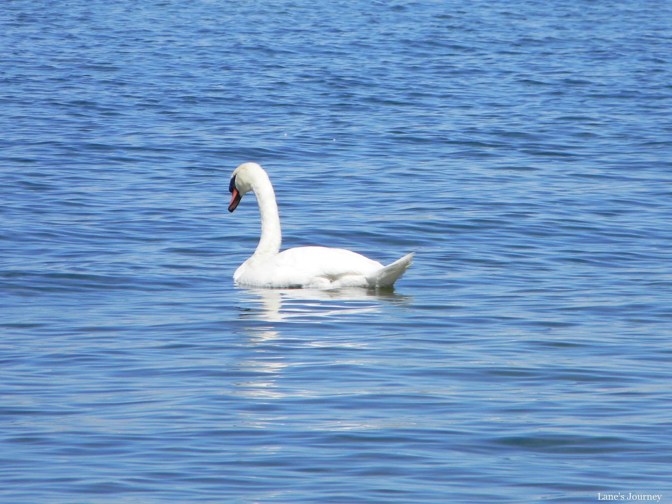 DSCN2389-2.jpg