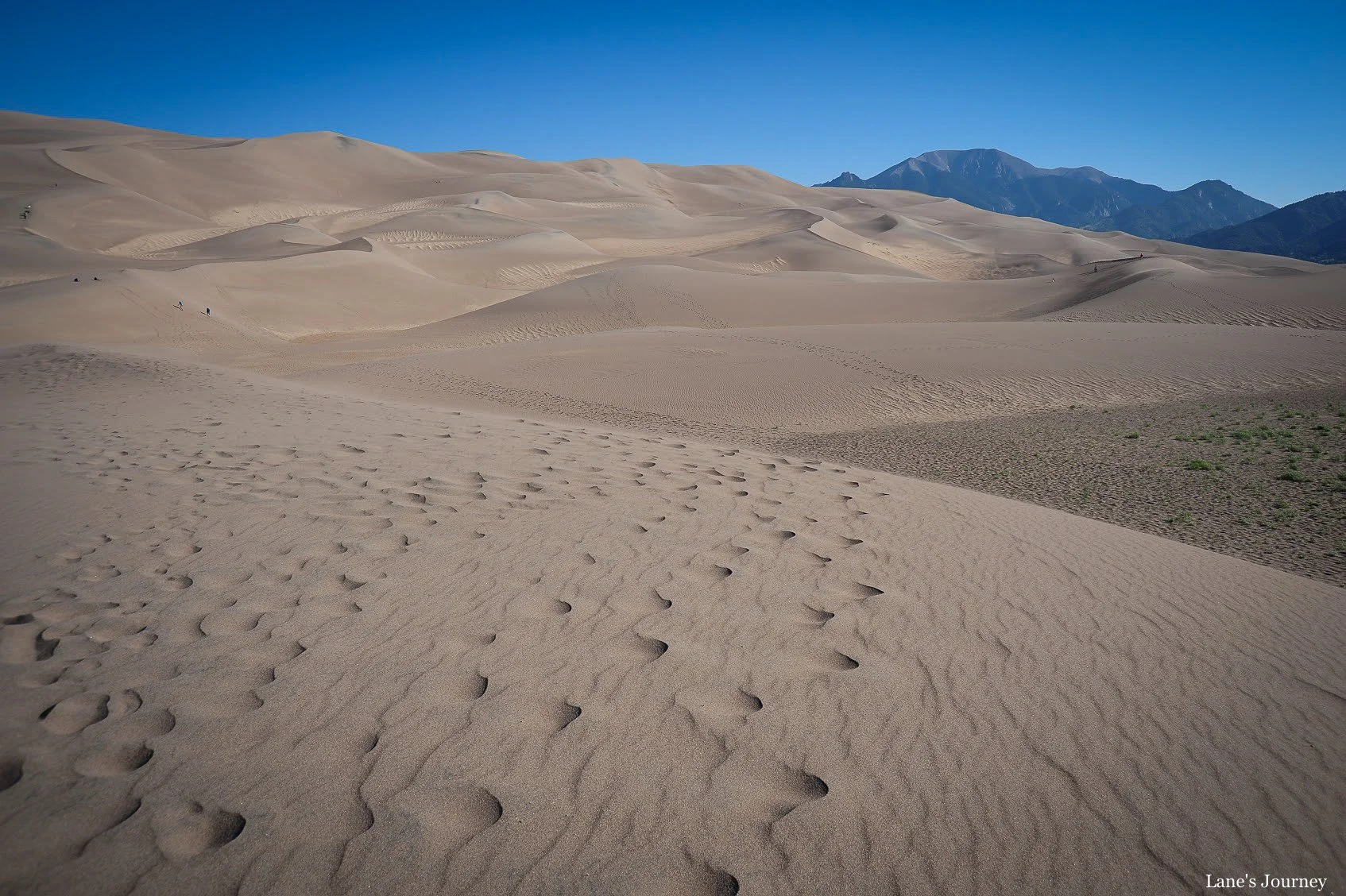 Great Sand Dunes 