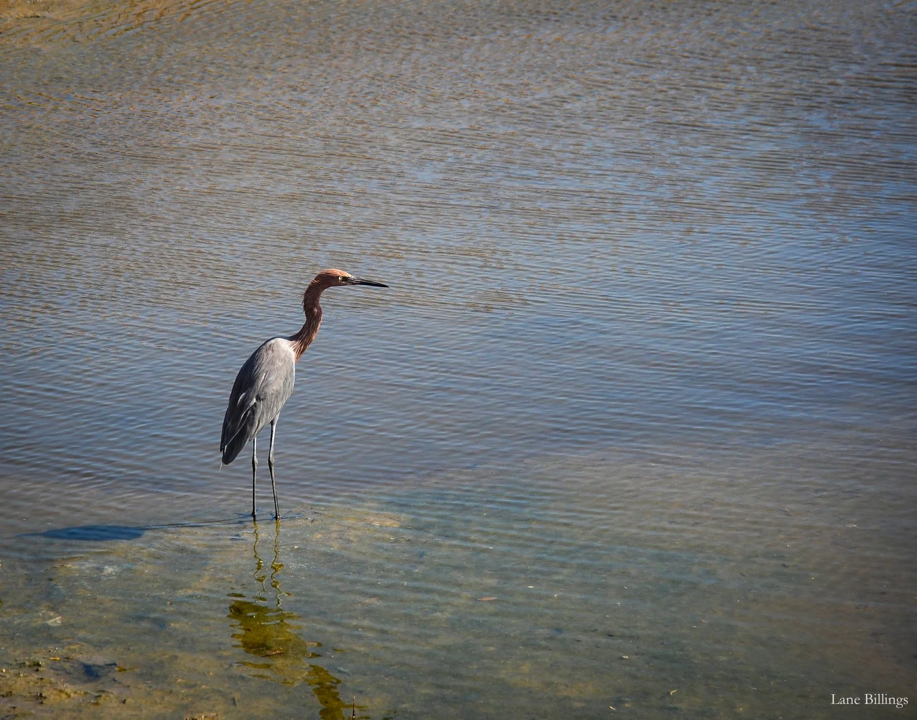 DSC_4935-2.jpg