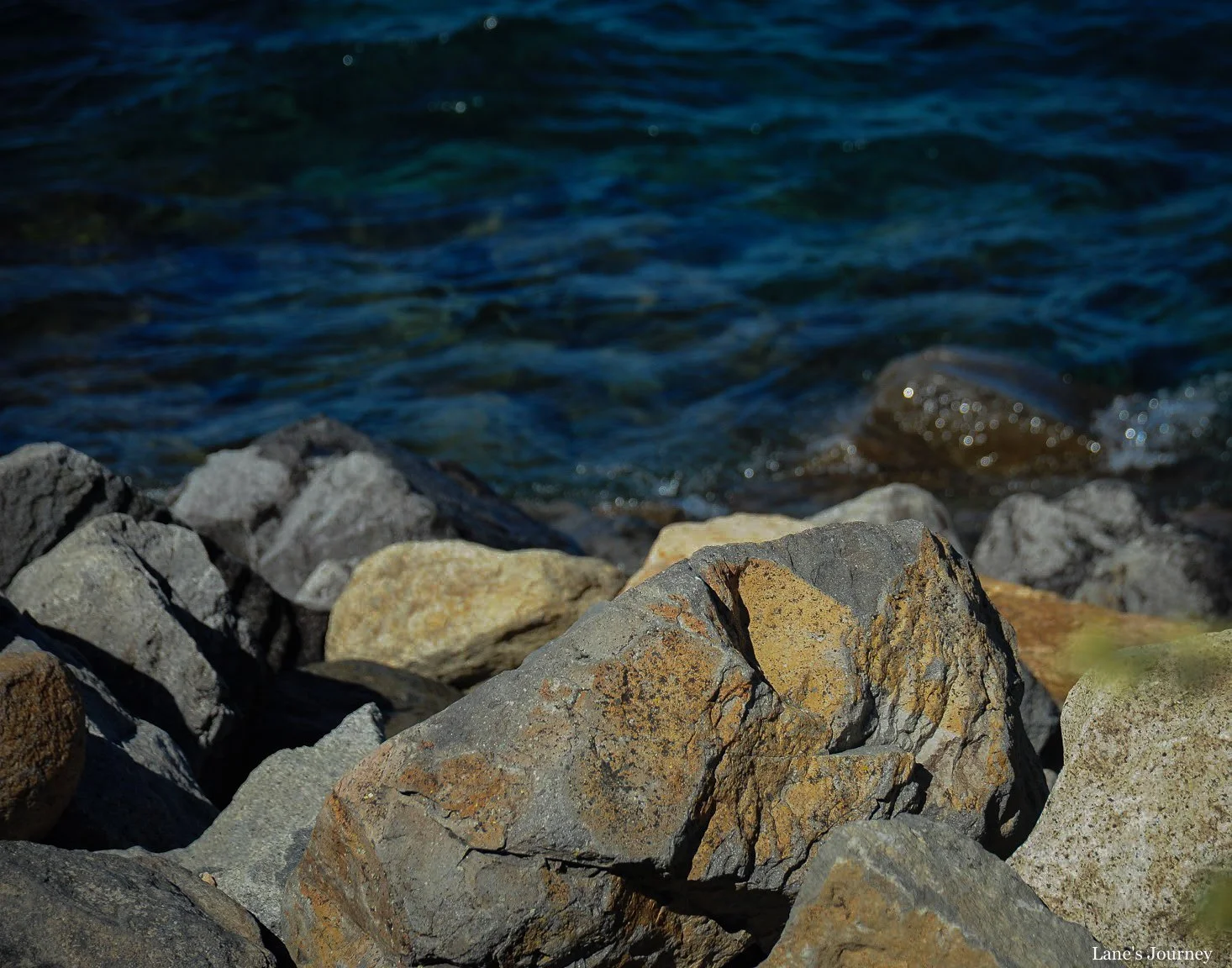 DSC_6797-2.jpg