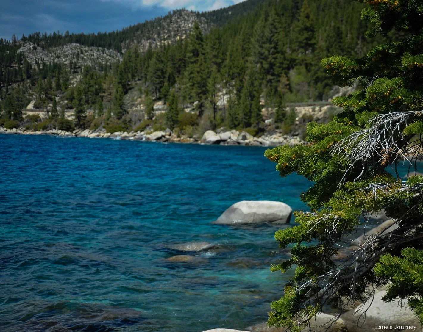 DSC_6824-2.jpg