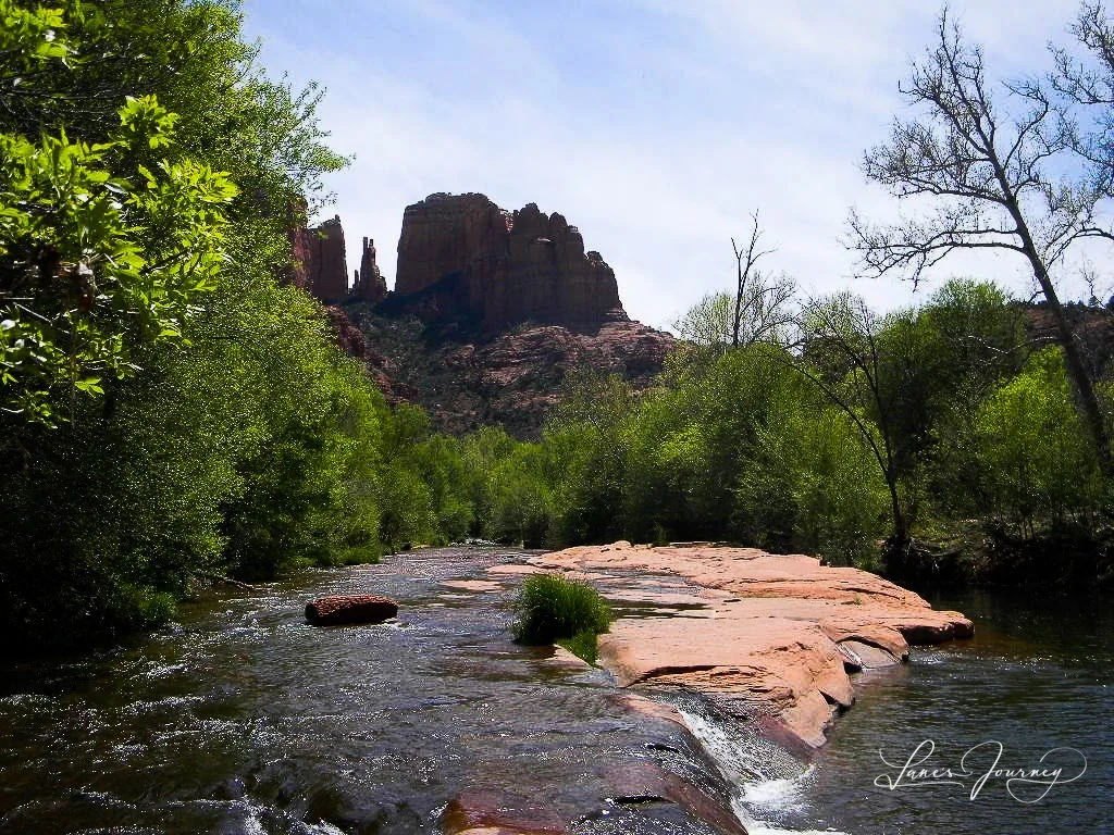 DSCN4690.jpg