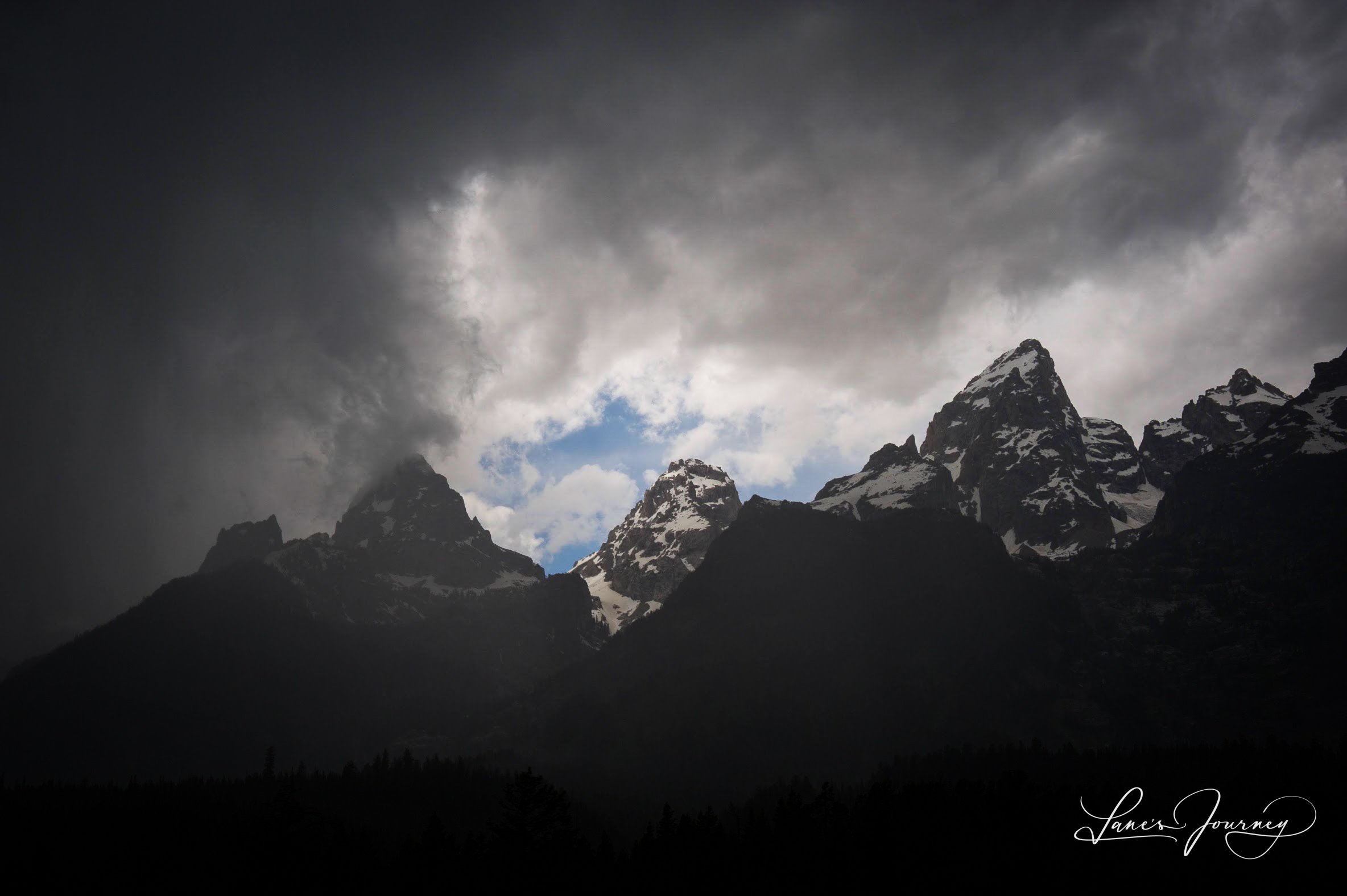 DSC_8894-2.jpg