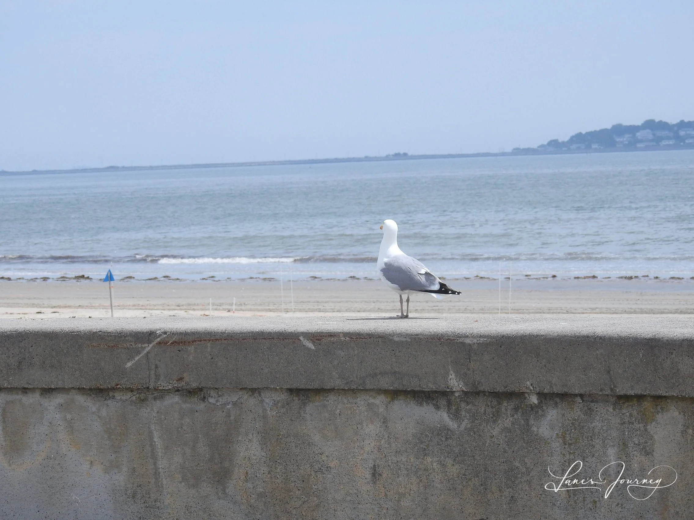 DSCN5742.jpg