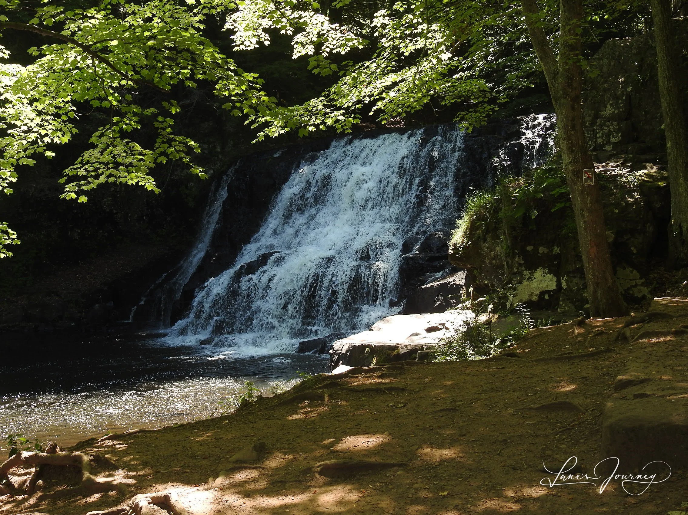 DSCN5797.jpg